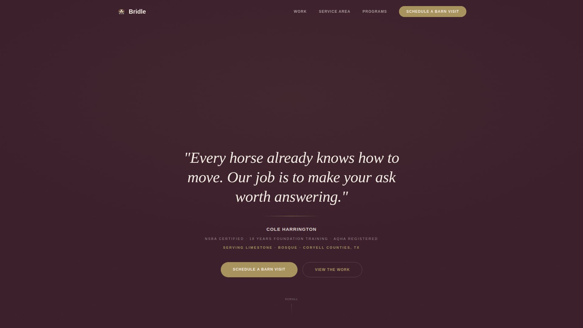 Bridle - Precision Equestrian Landing Page Template