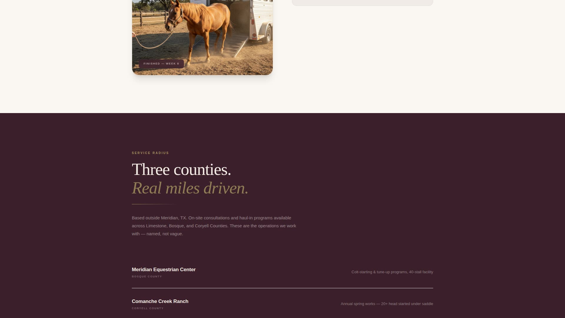 Bridle - Precision Equestrian Landing Page Template