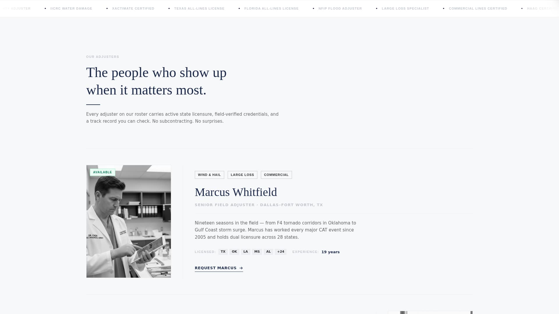 Adjuster - Authoritative Insuranceadjuster Landing Page Template