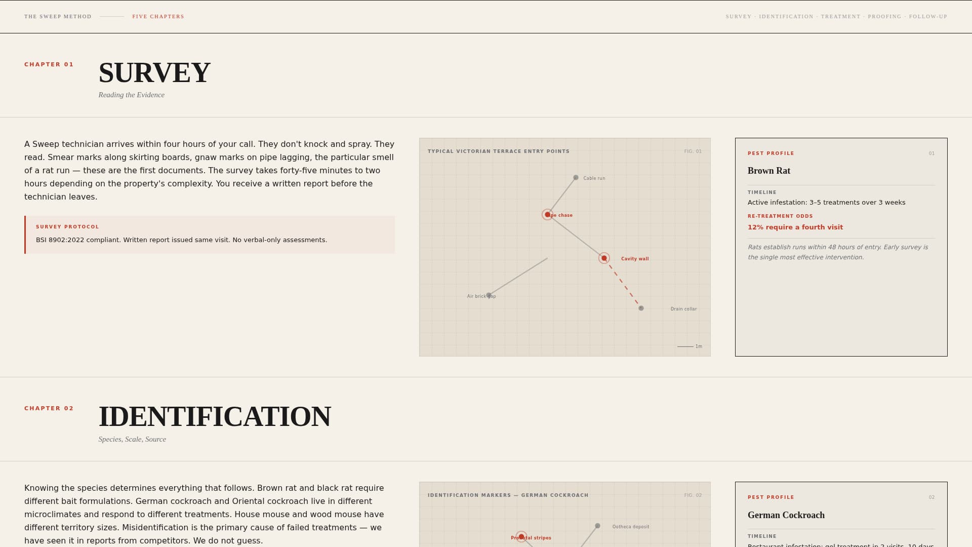 Sweep - Authoritative Pestcontrol Landing Page Template