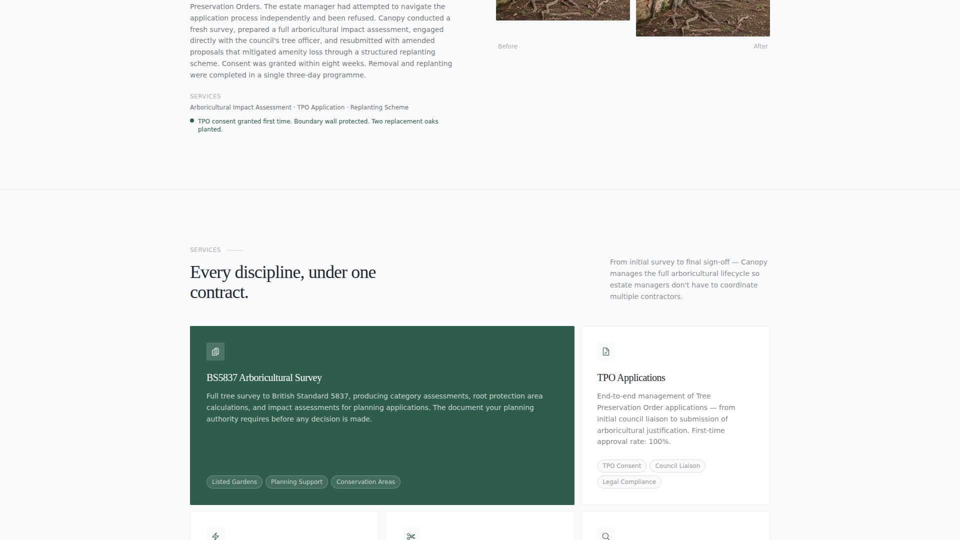 Canopy - Elite Arborist Landing Page Template
