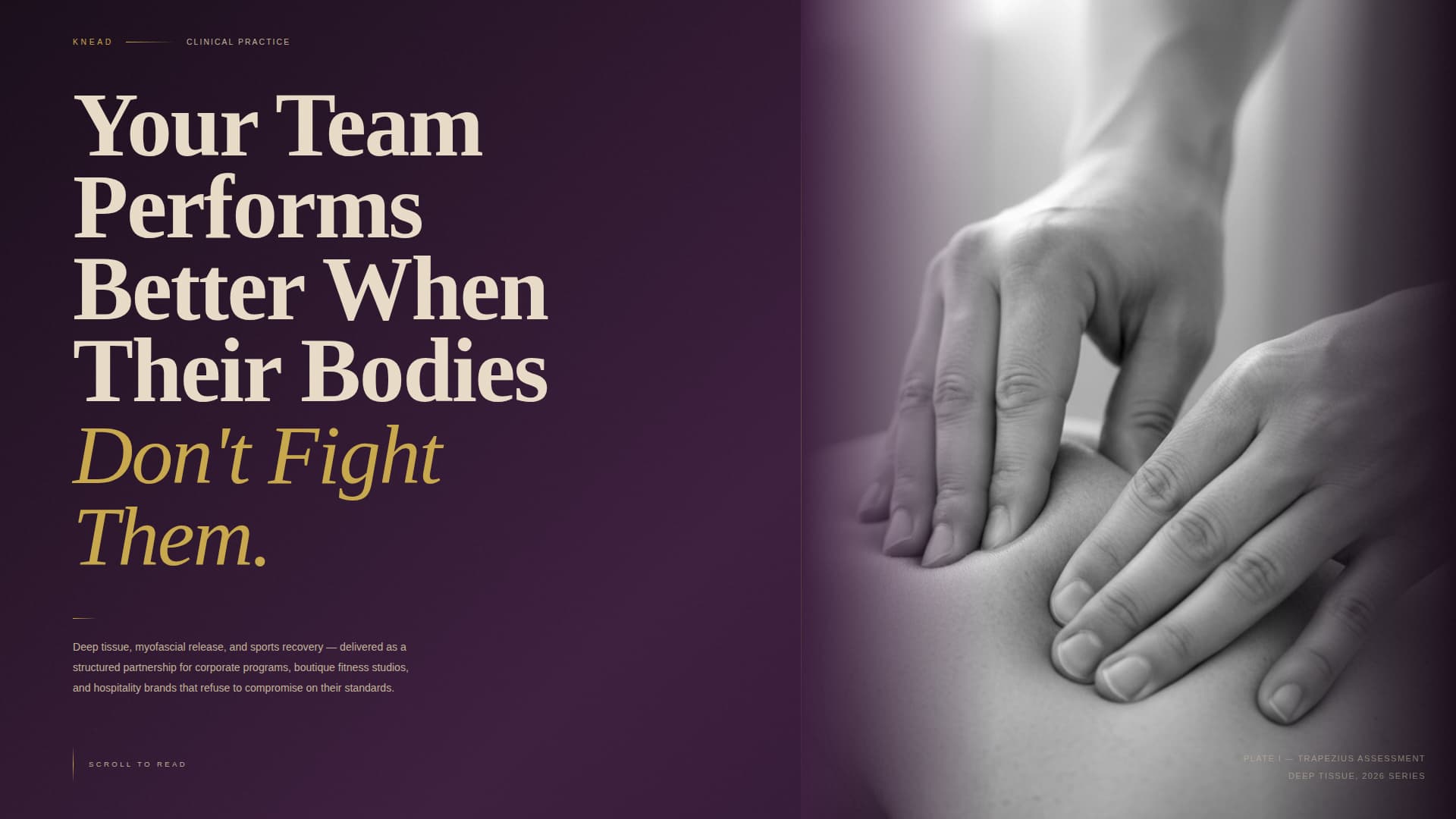 Massage Therapist Directory Website Template