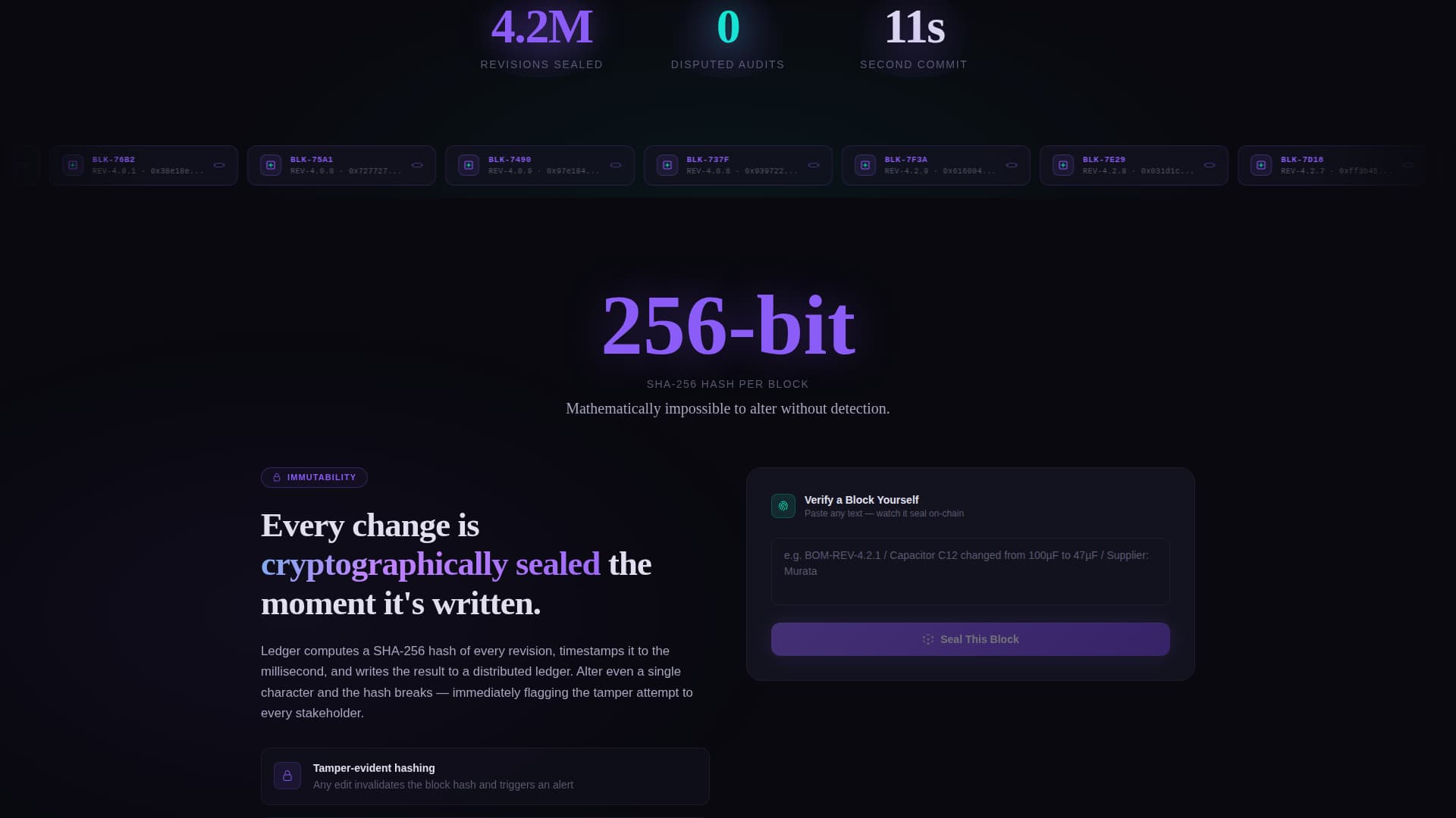 Blockchain-Based Enterprise Software Specialist Privacy Policy Website Template