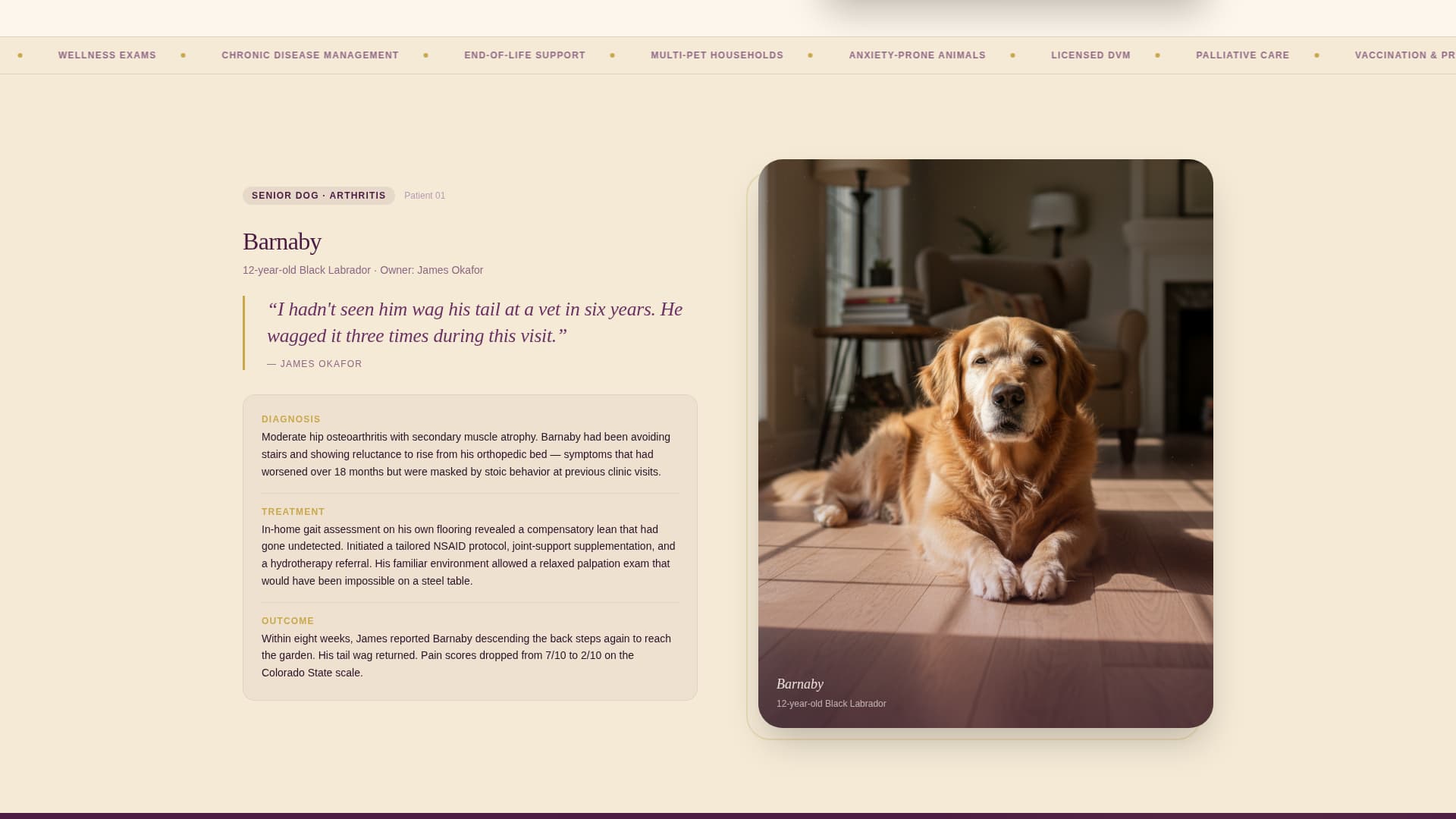 Housecall - Compassionate Mobilevet Landing Page Template
