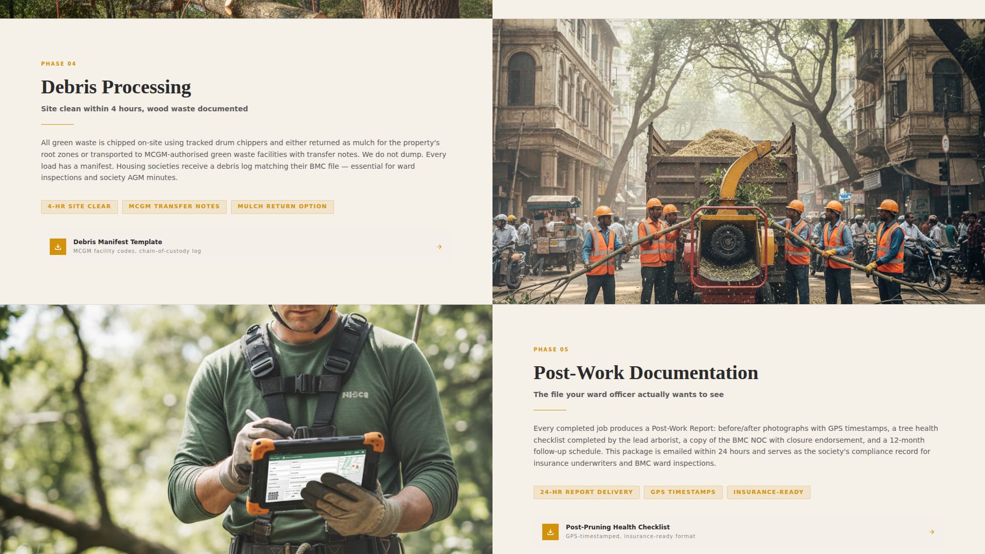 Canopy — Expert Tree Care Landing Page Template