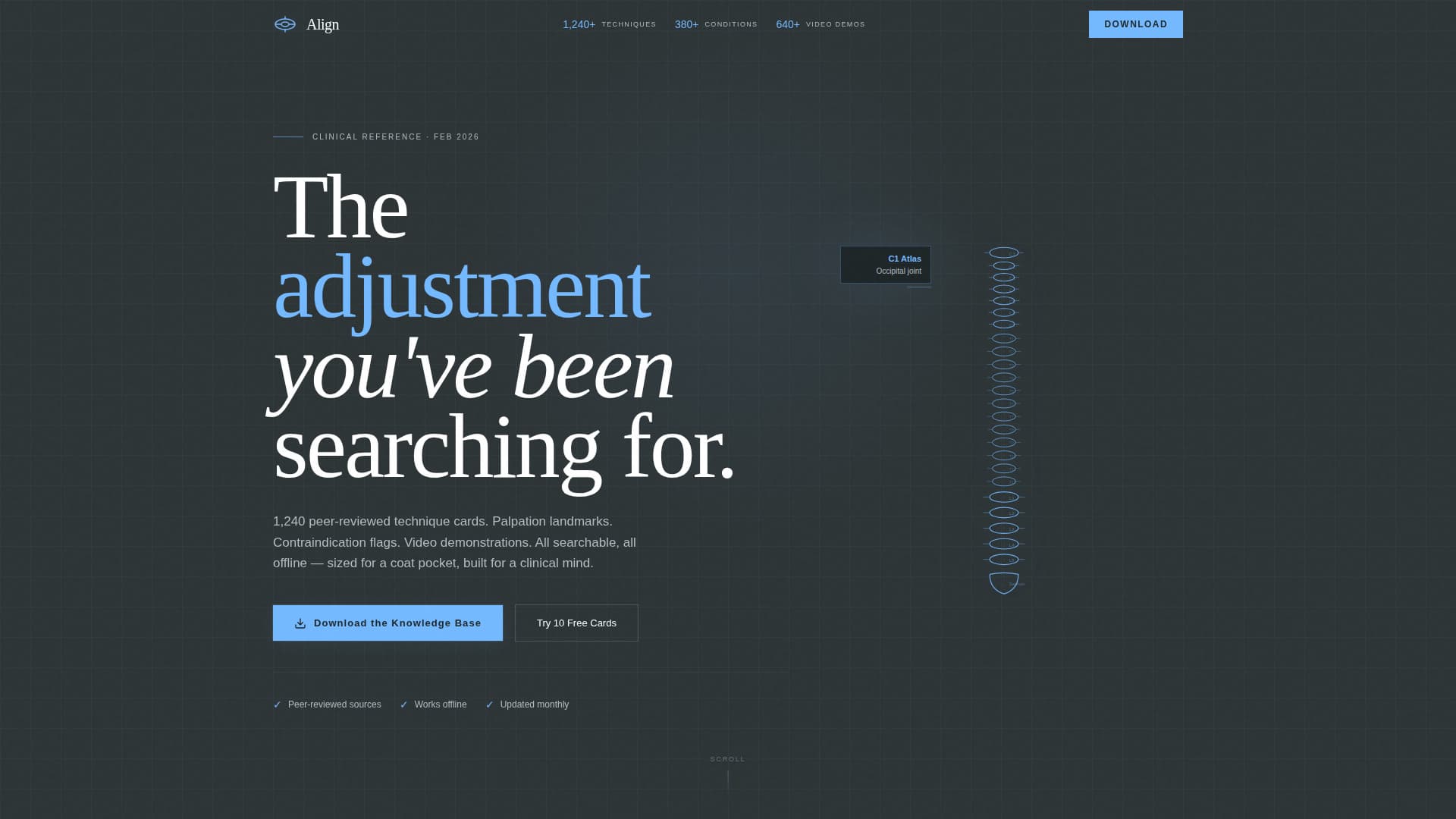 Chiropractic Digital Presence Specialist Careers Website Template