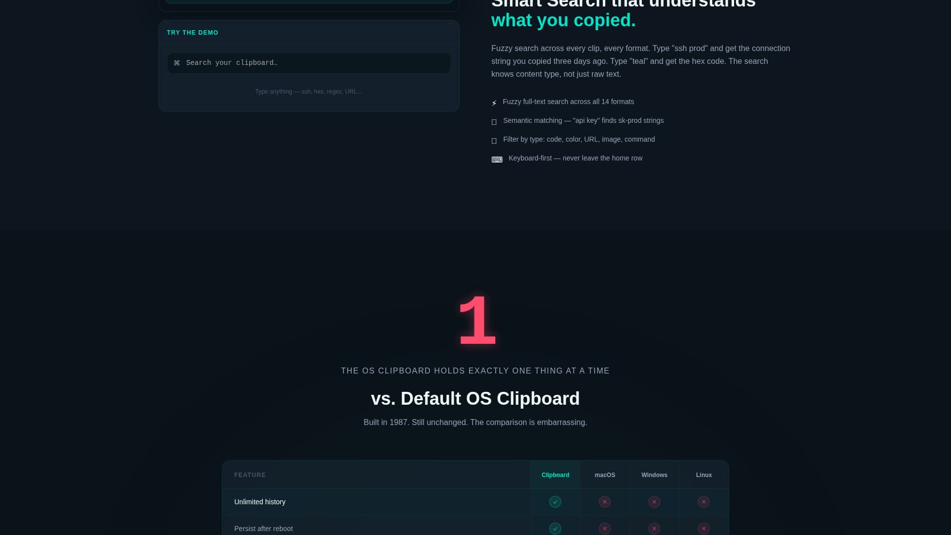 Micro-SaaS & Developer Tools Expert Professional Website Template