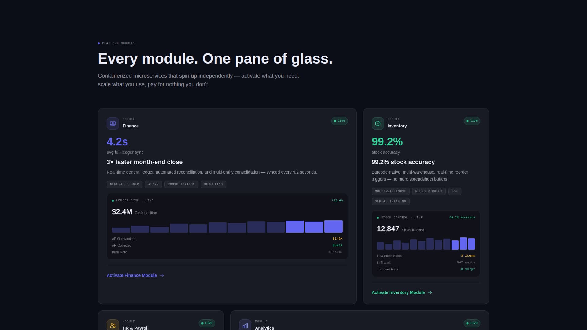 Cloud-Native Enterprise Software Specialist Professional Website Template