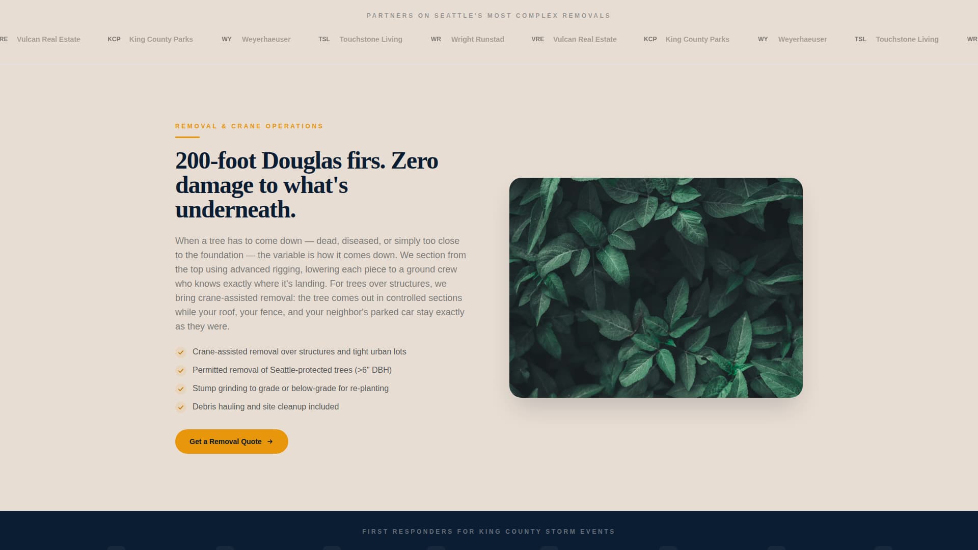 Trim — Licensed Tree Care Landing Page Template