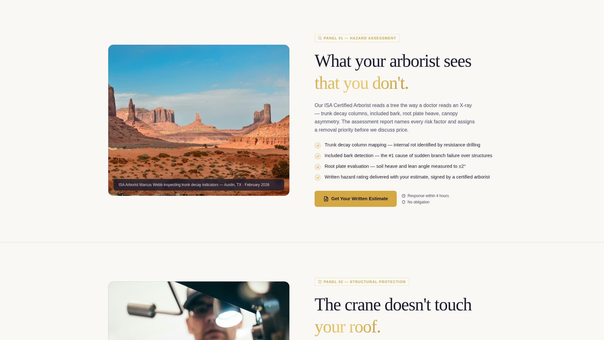 Tree Service Marketing Specialist Professional Website Template
