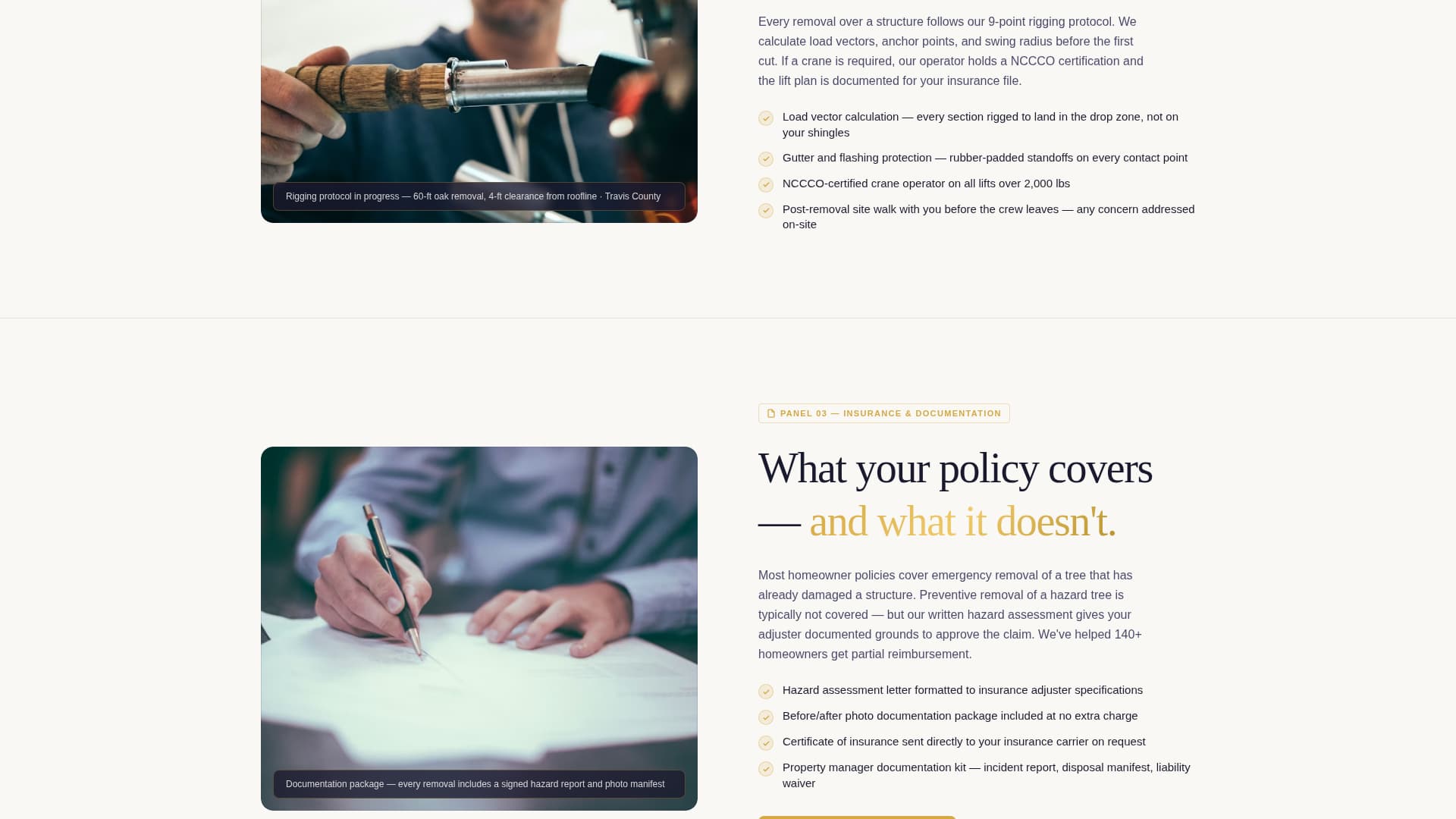 Tree Service Marketing Specialist Professional Website Template