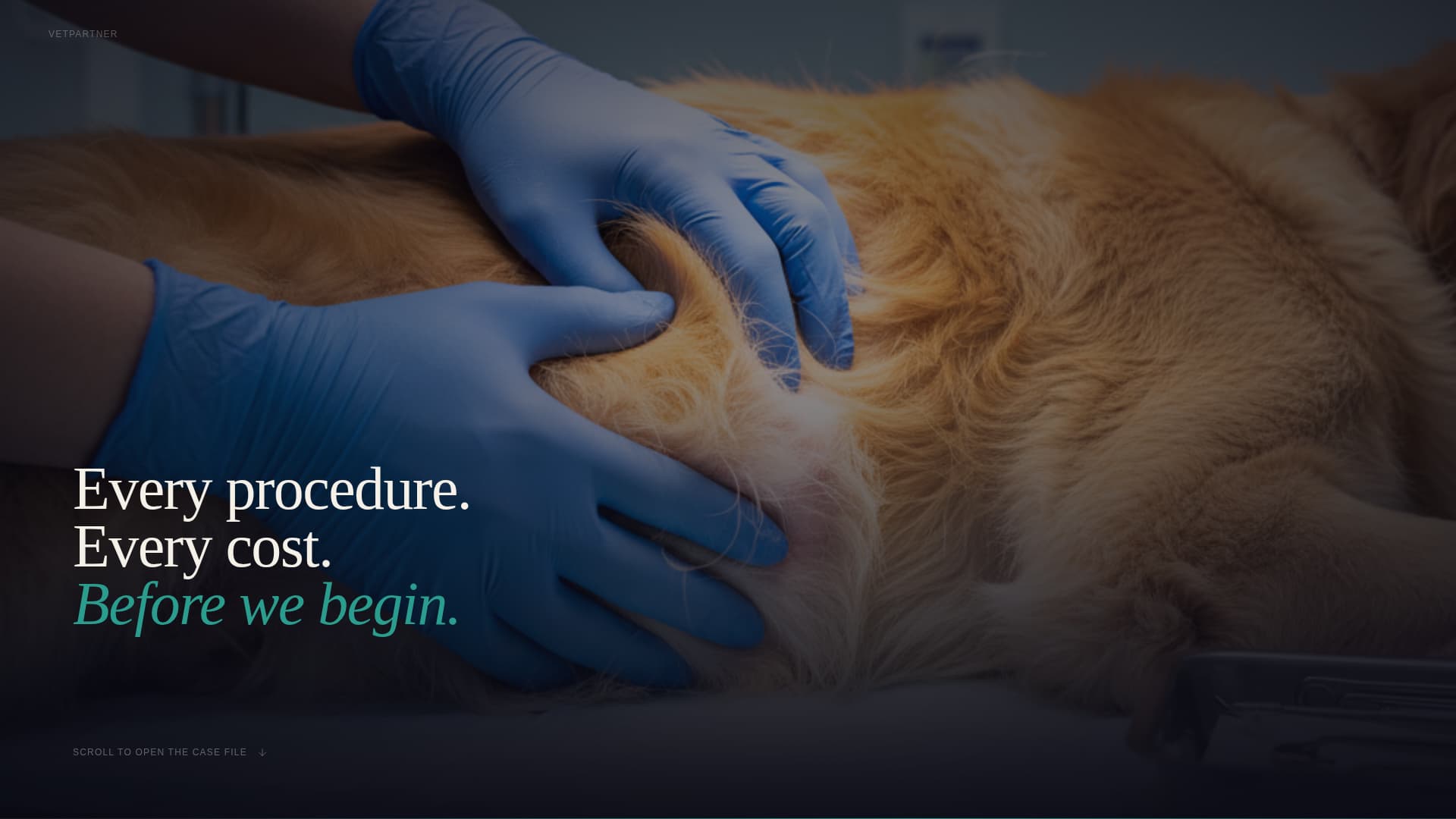 Vetpartner - Transparent Veterinary Landing Page Template