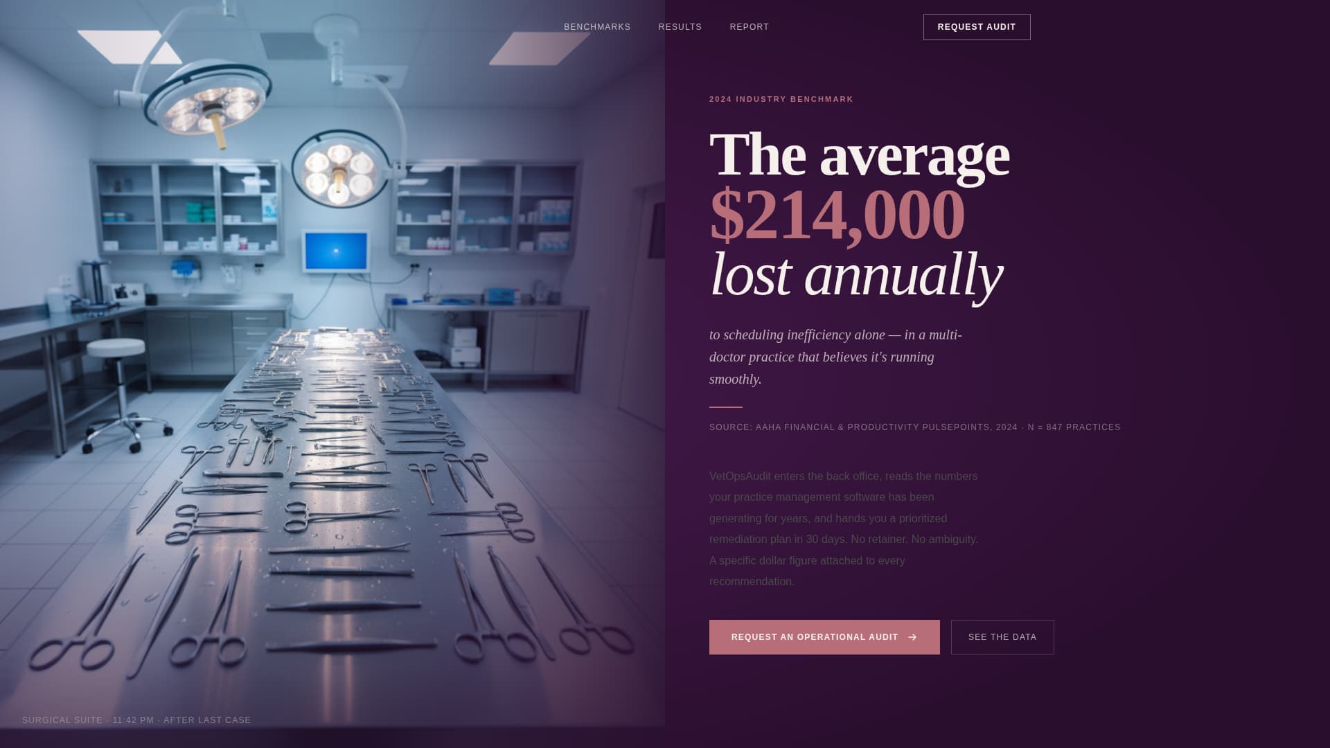 Veterinary Consulting Blog Website Template
