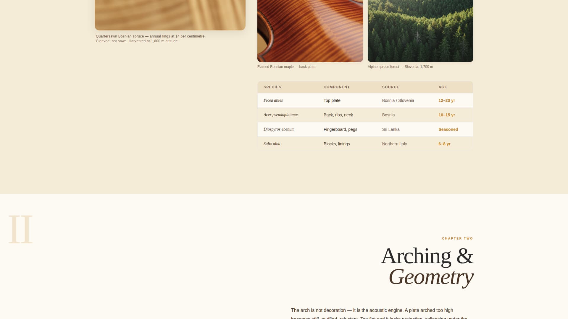 Luthier — Expert Stringed Instrument Craftsmanship Landing Page Template