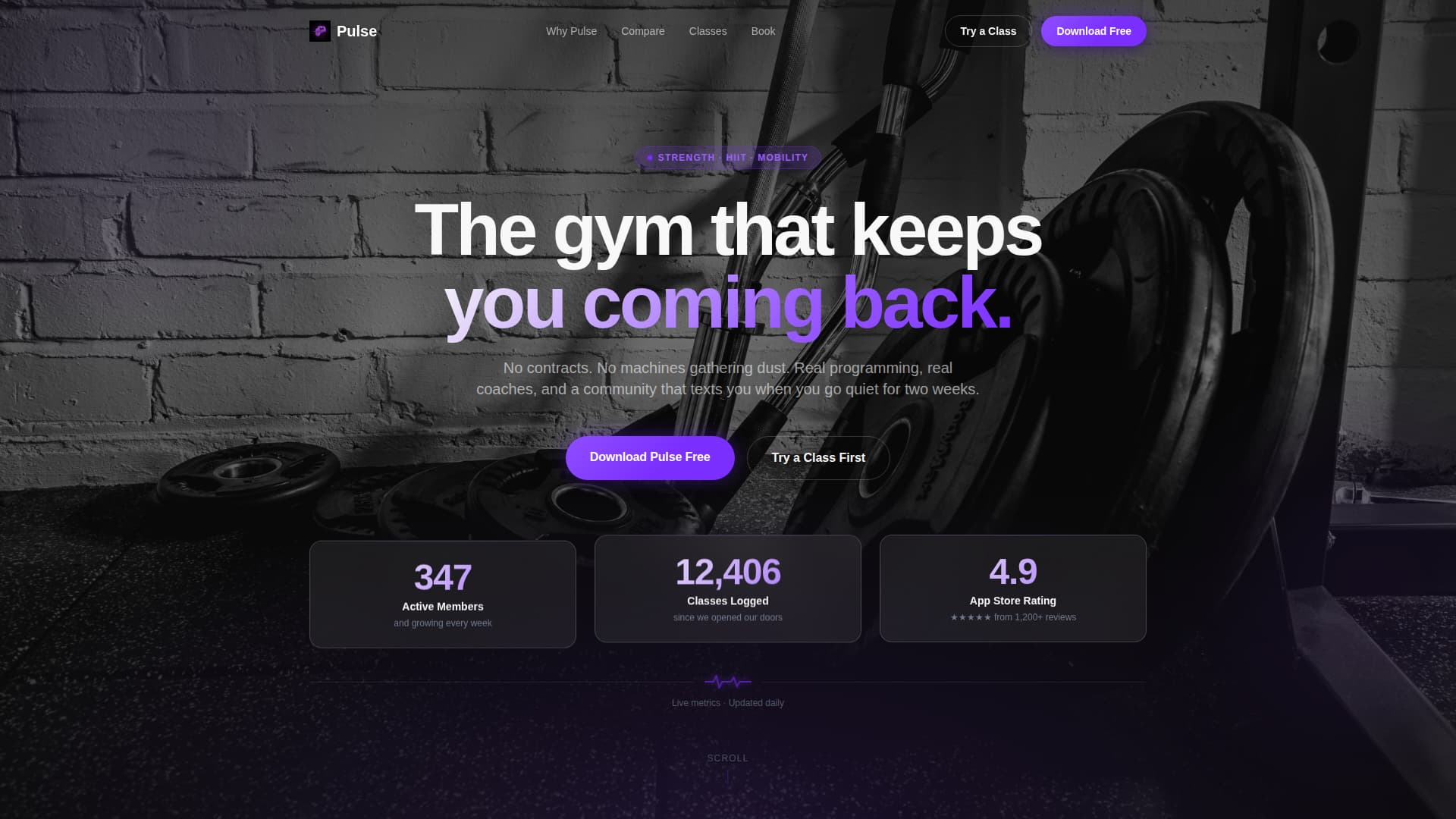 Fitness Studio Expert Booking Website Template