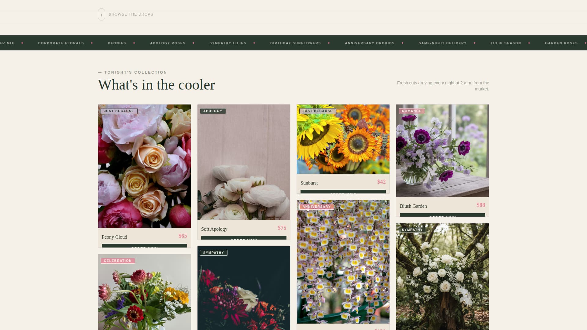 Bloom - Midnight Florist Landing Page Template