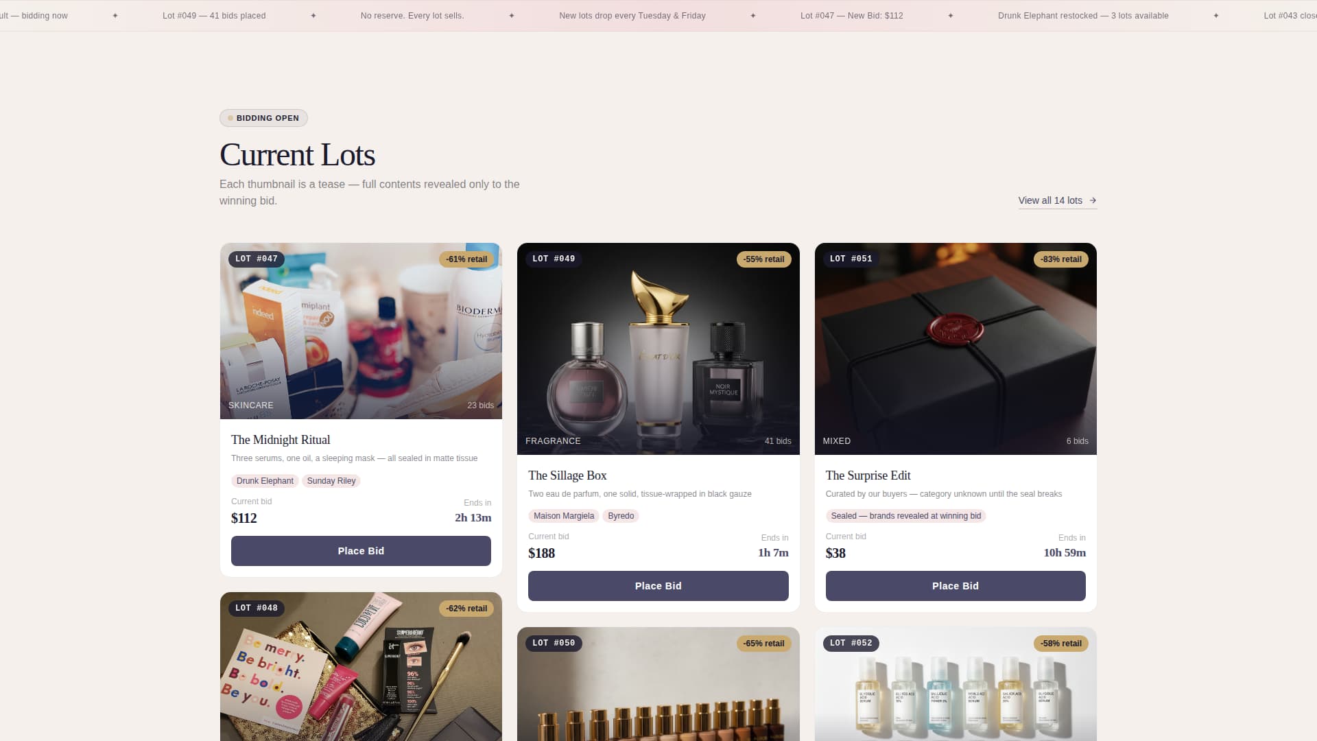 Bid - Exclusive Beautyauction Landing Page Template