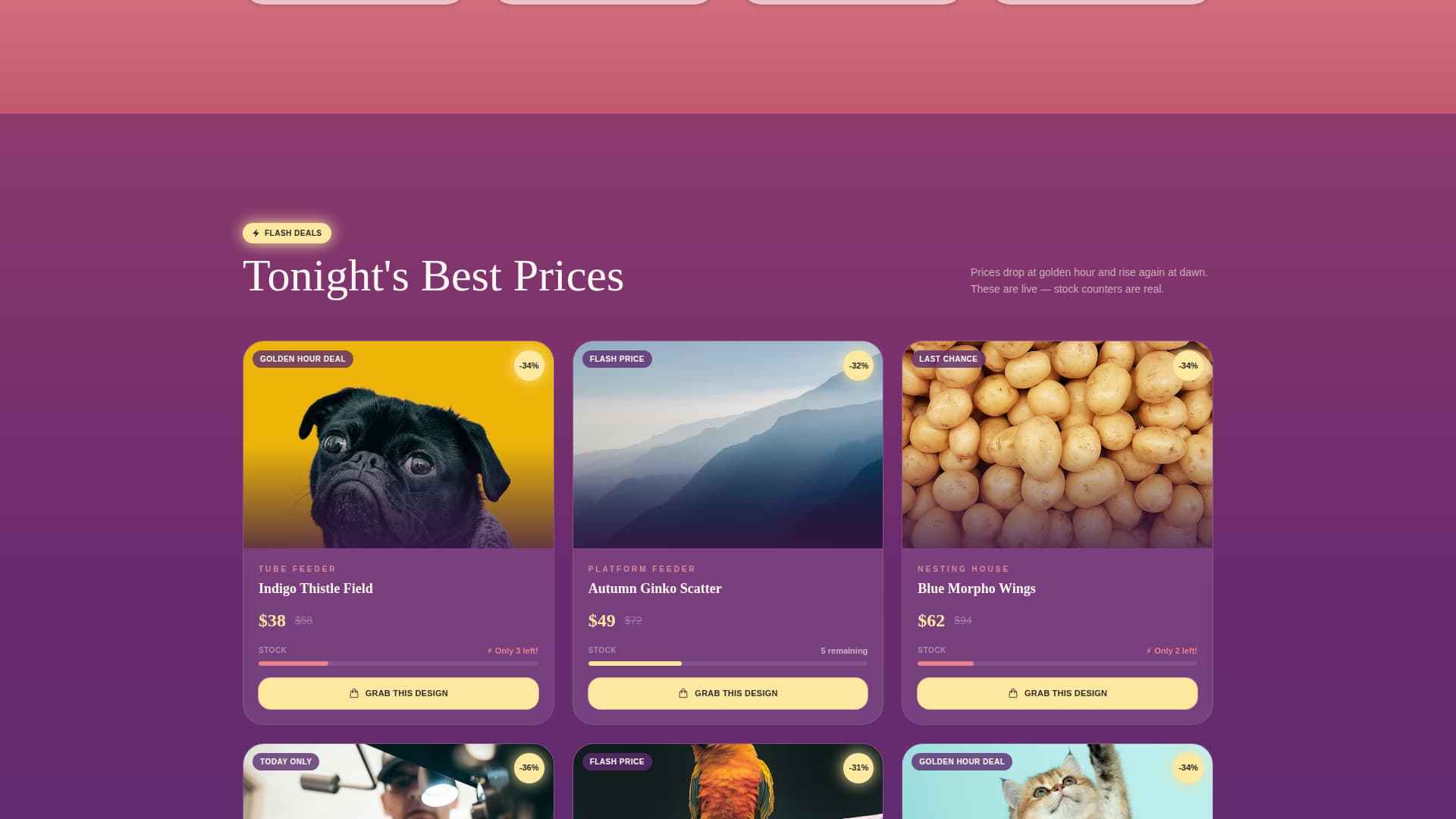 Perch - Stunning Birdfeeder Landing Page Template
