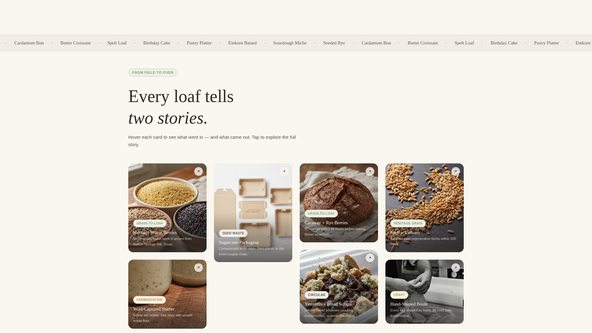 Eco-Friendly Business Blog Website Template