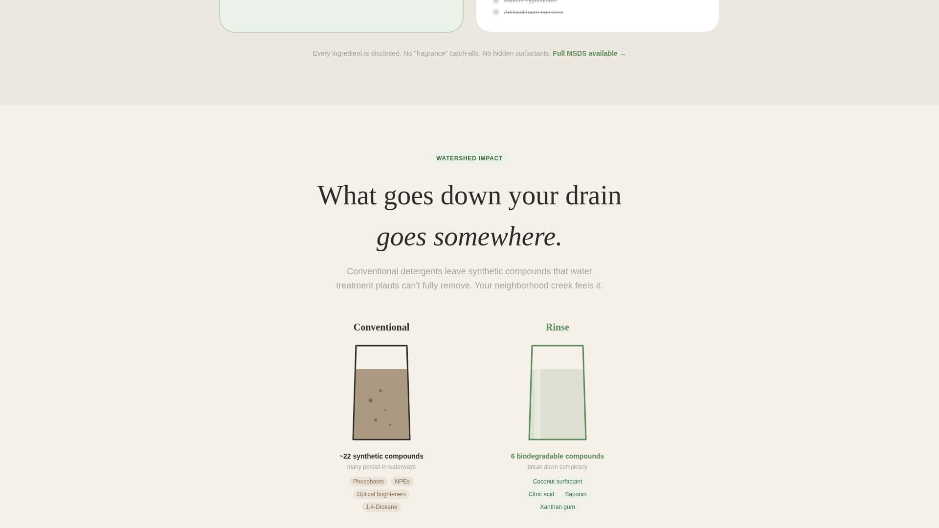 Eco-Friendly Business Advanced Booking Website Template