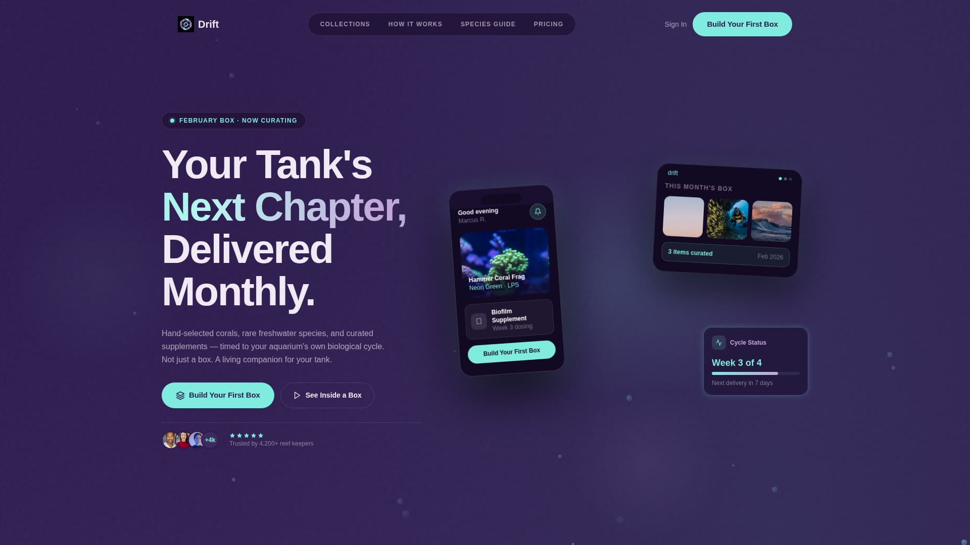 Subscription Box Specialist Professional Website Template