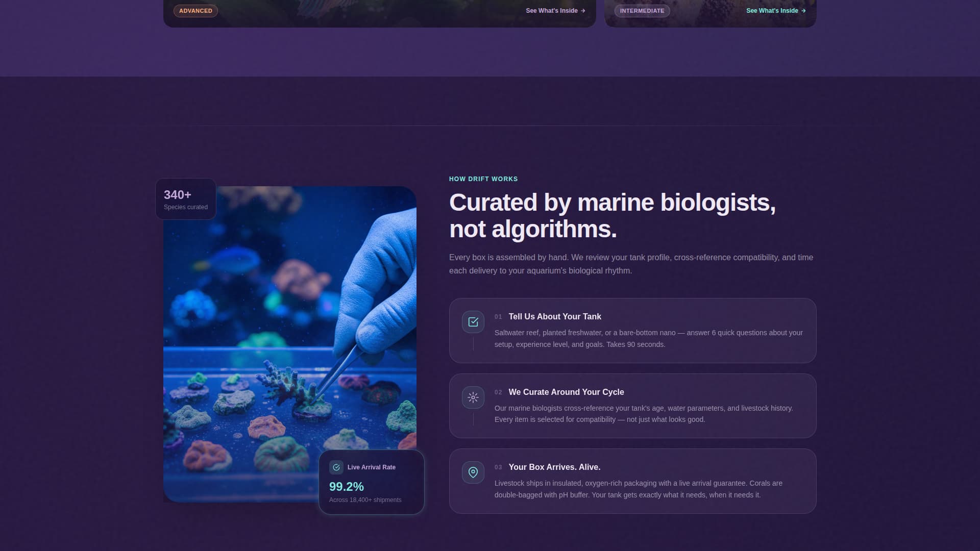 Subscription Box Specialist Professional Website Template