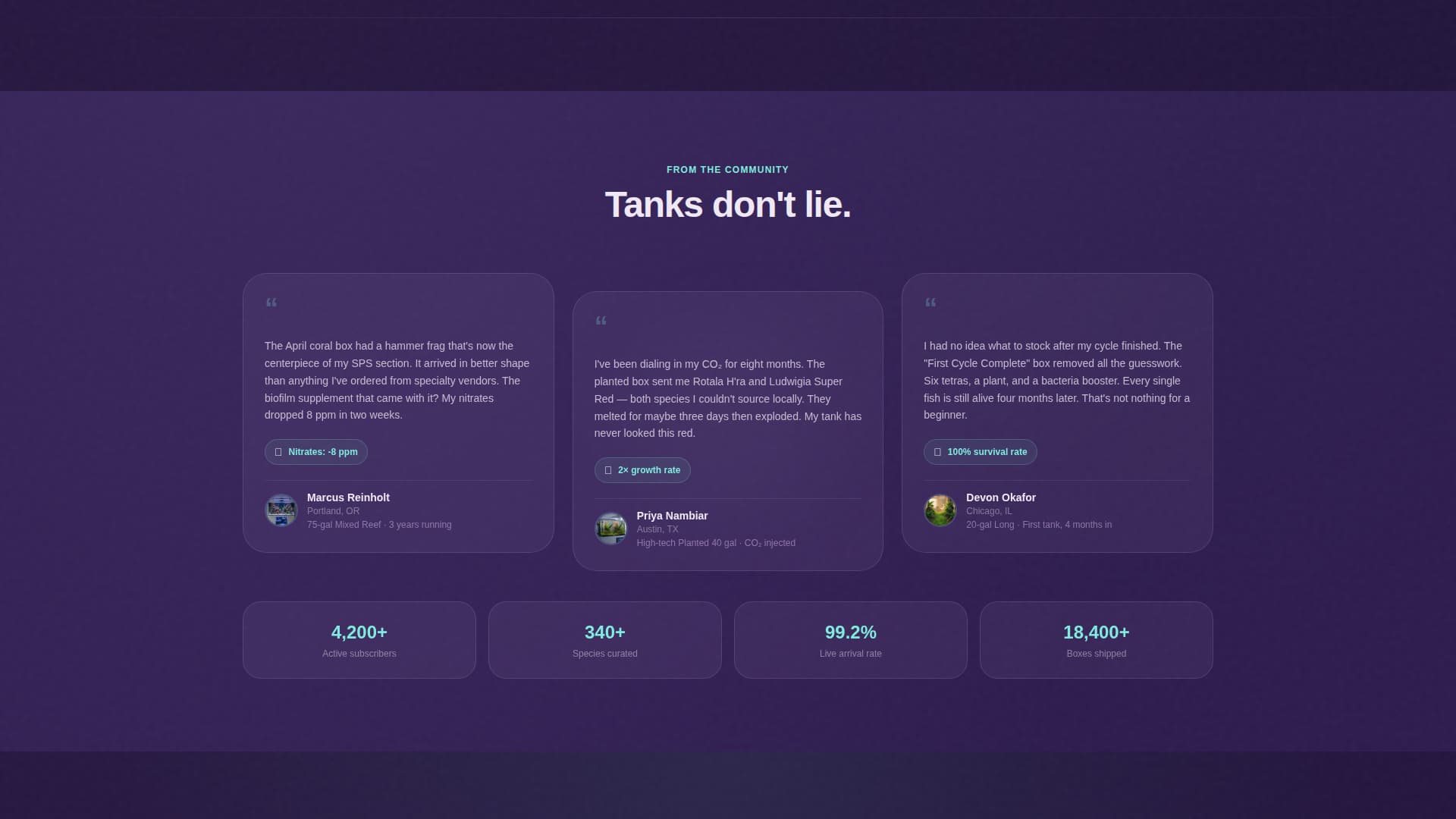 Subscription Box Specialist Professional Website Template