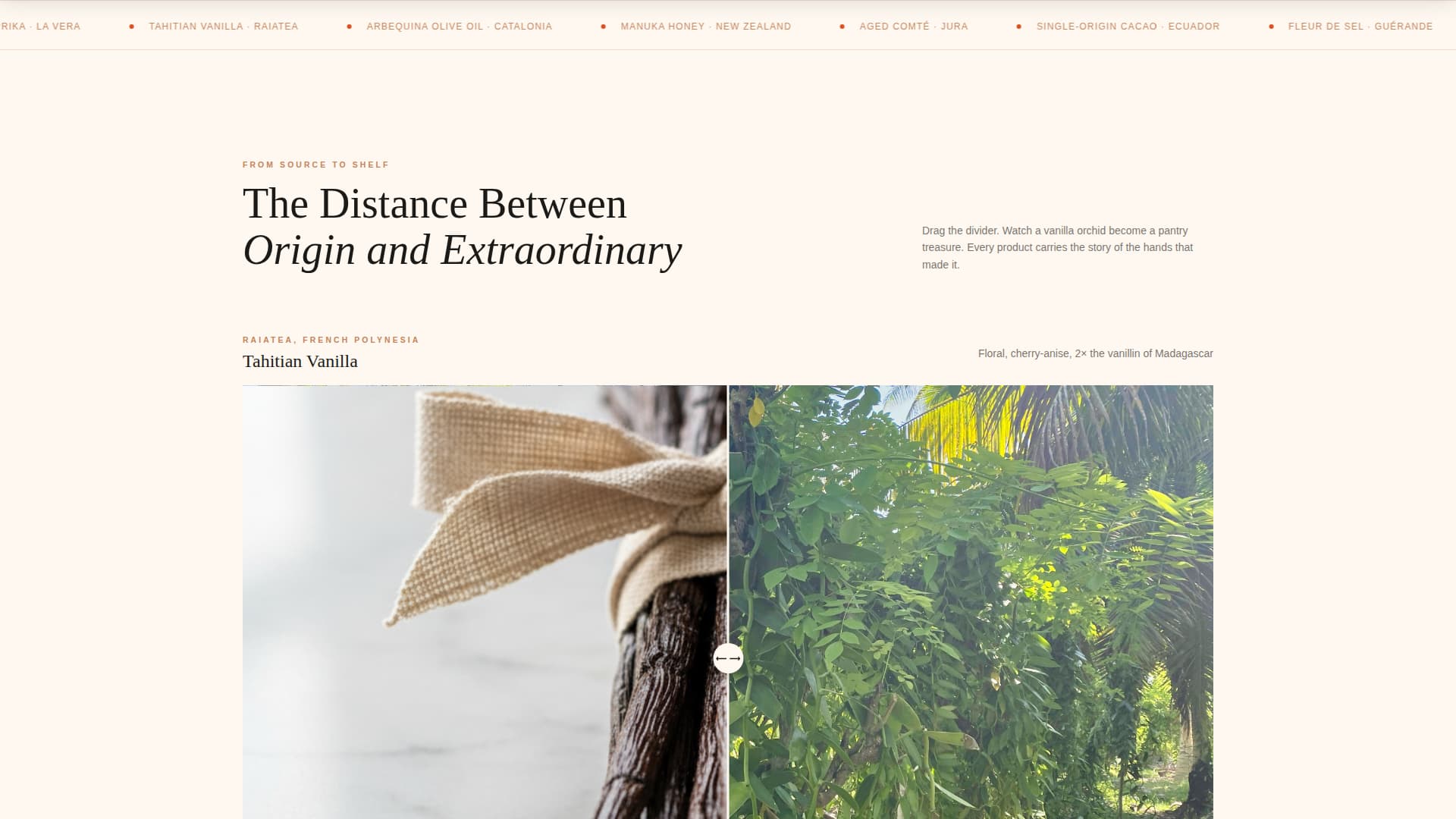 Savor - Luxurious Gourmet Landing Page Template
