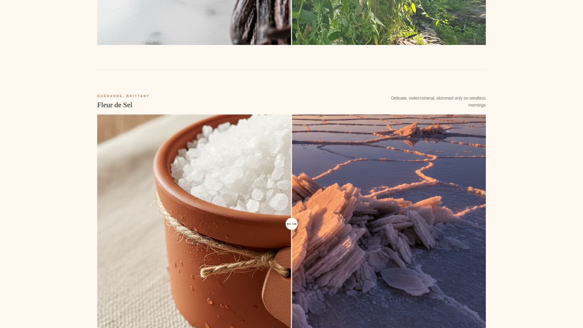 Savor - Luxurious Gourmet Landing Page Template