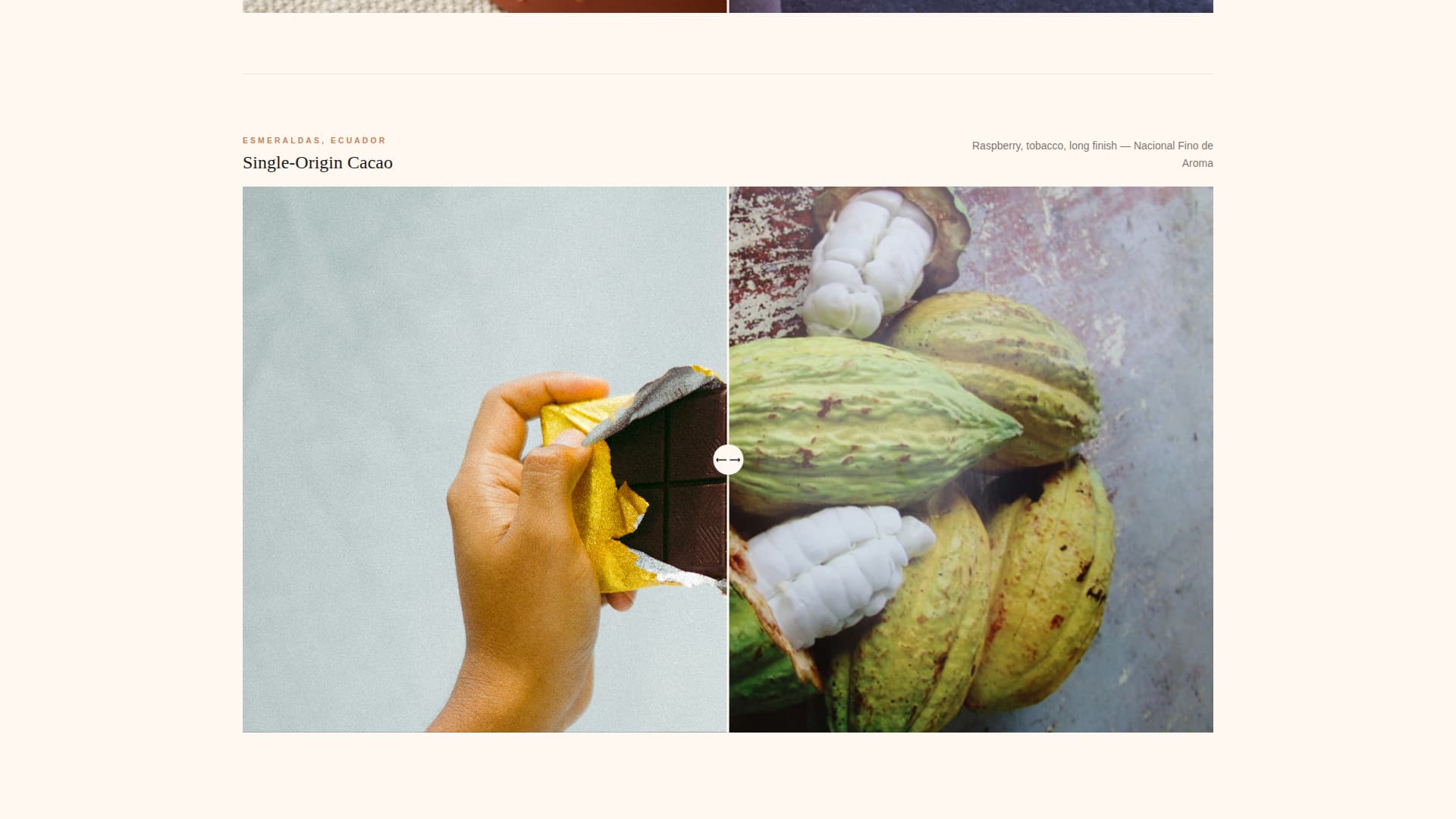Savor - Luxurious Gourmet Landing Page Template