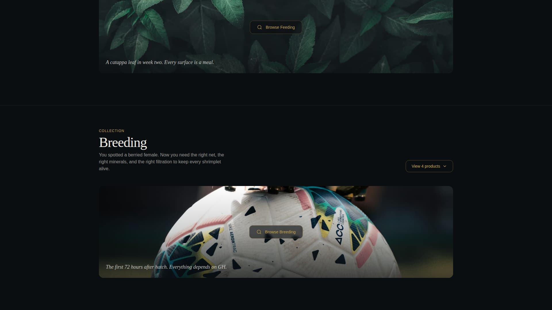 Molt — Expert Aquatic Hobby Landing Page Template