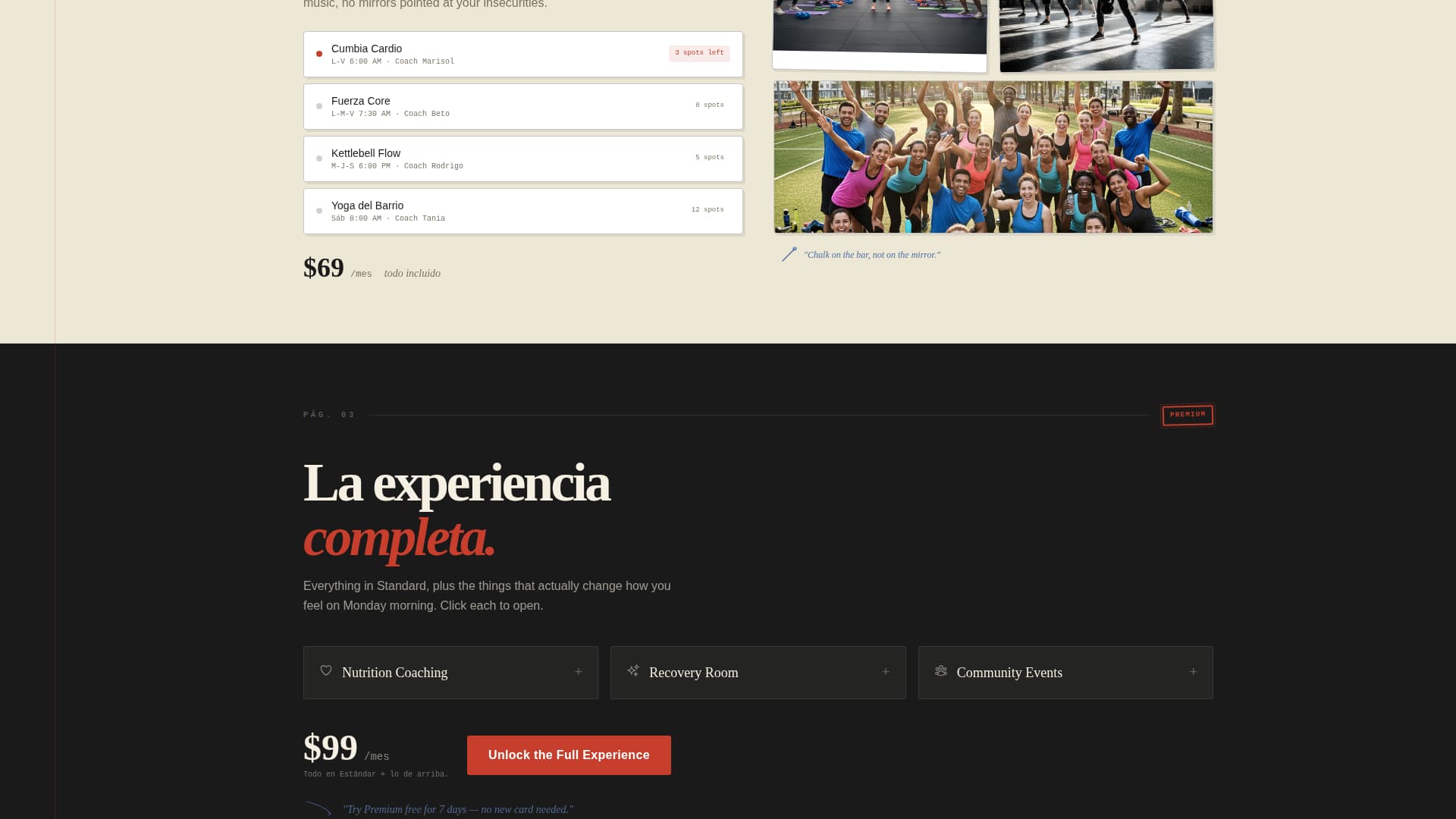 Hispanic-Owned Business Specialist Professional Website Template
