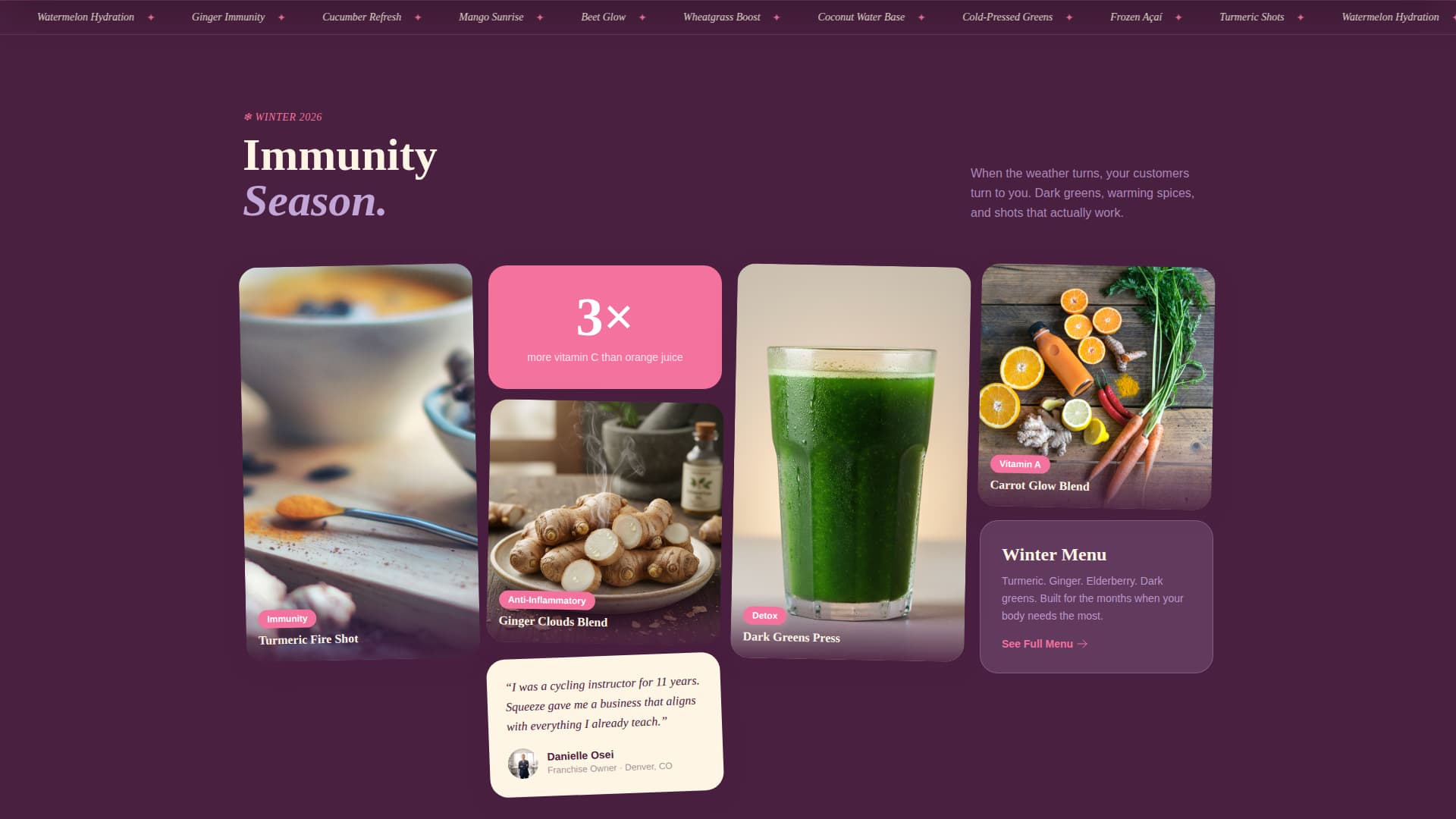 Squeeze - Vibrant Franchise Landing Page Template