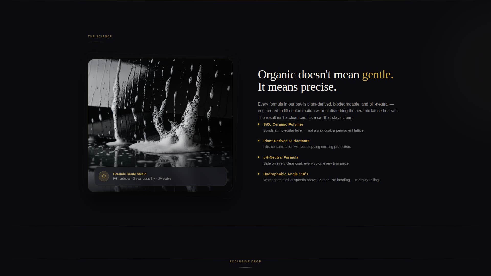 Rinse - Premium Detailing Landing Page Template
