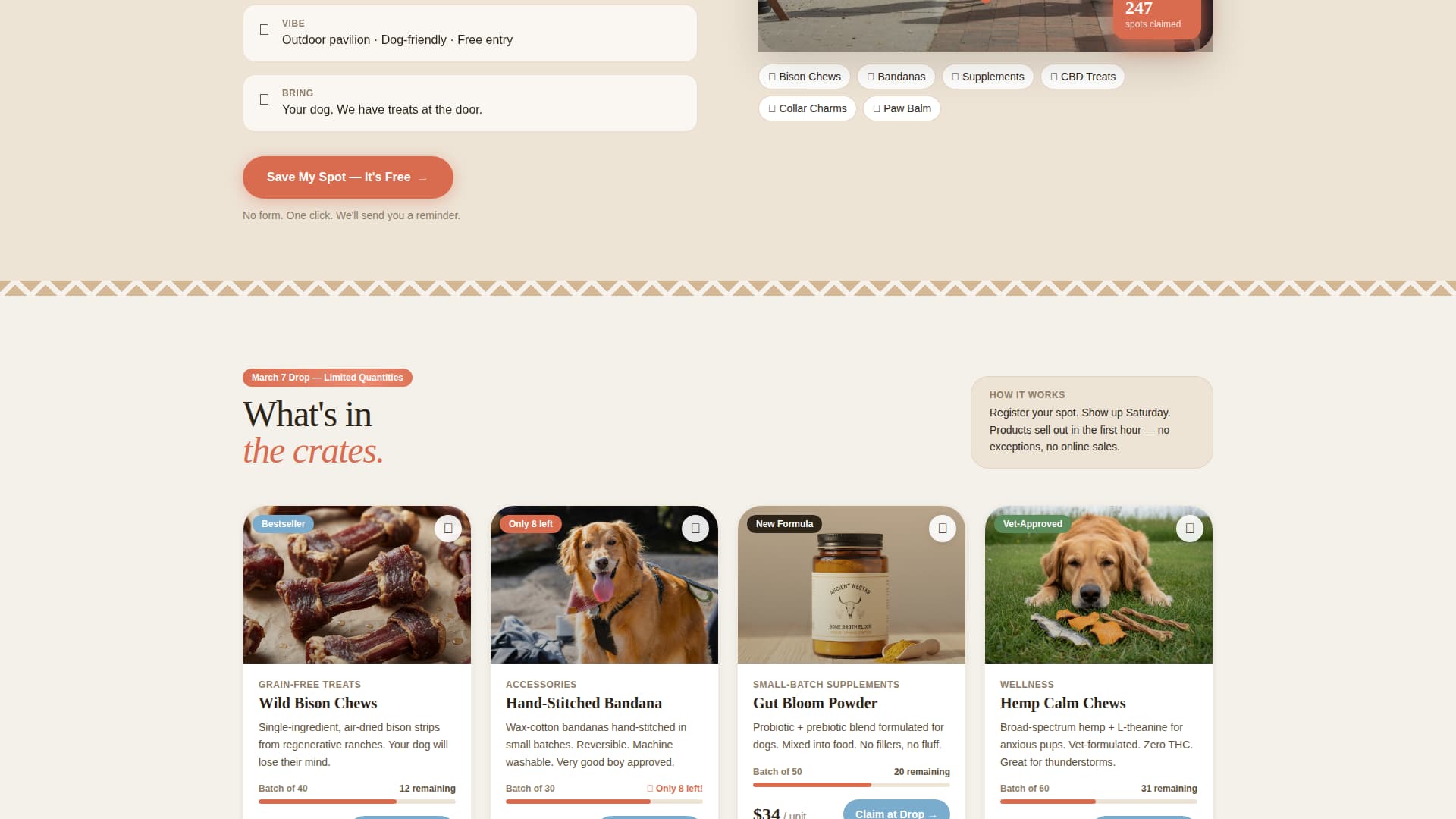 Fetch - Playful Popup Landing Page Template