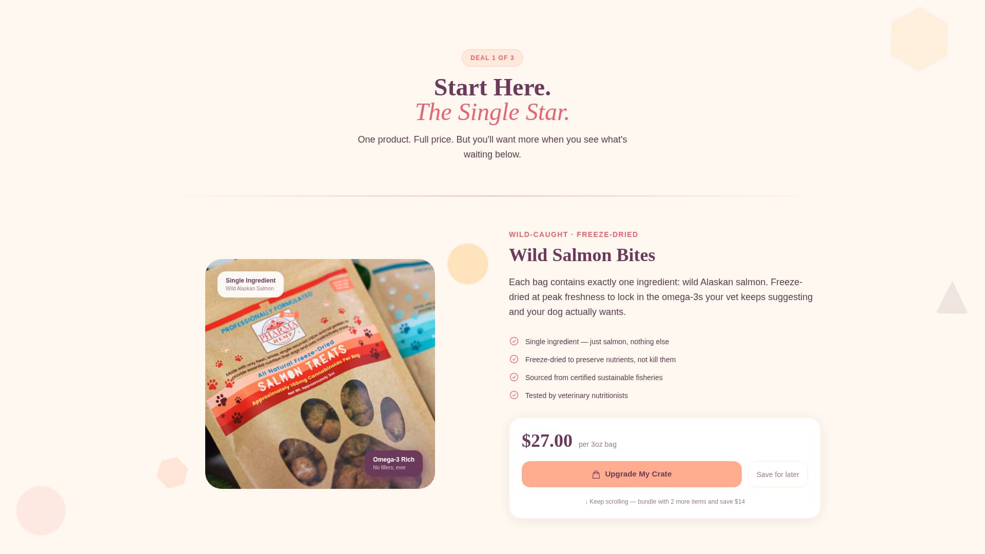 Fetch - Premium Petshop Landing Page Template