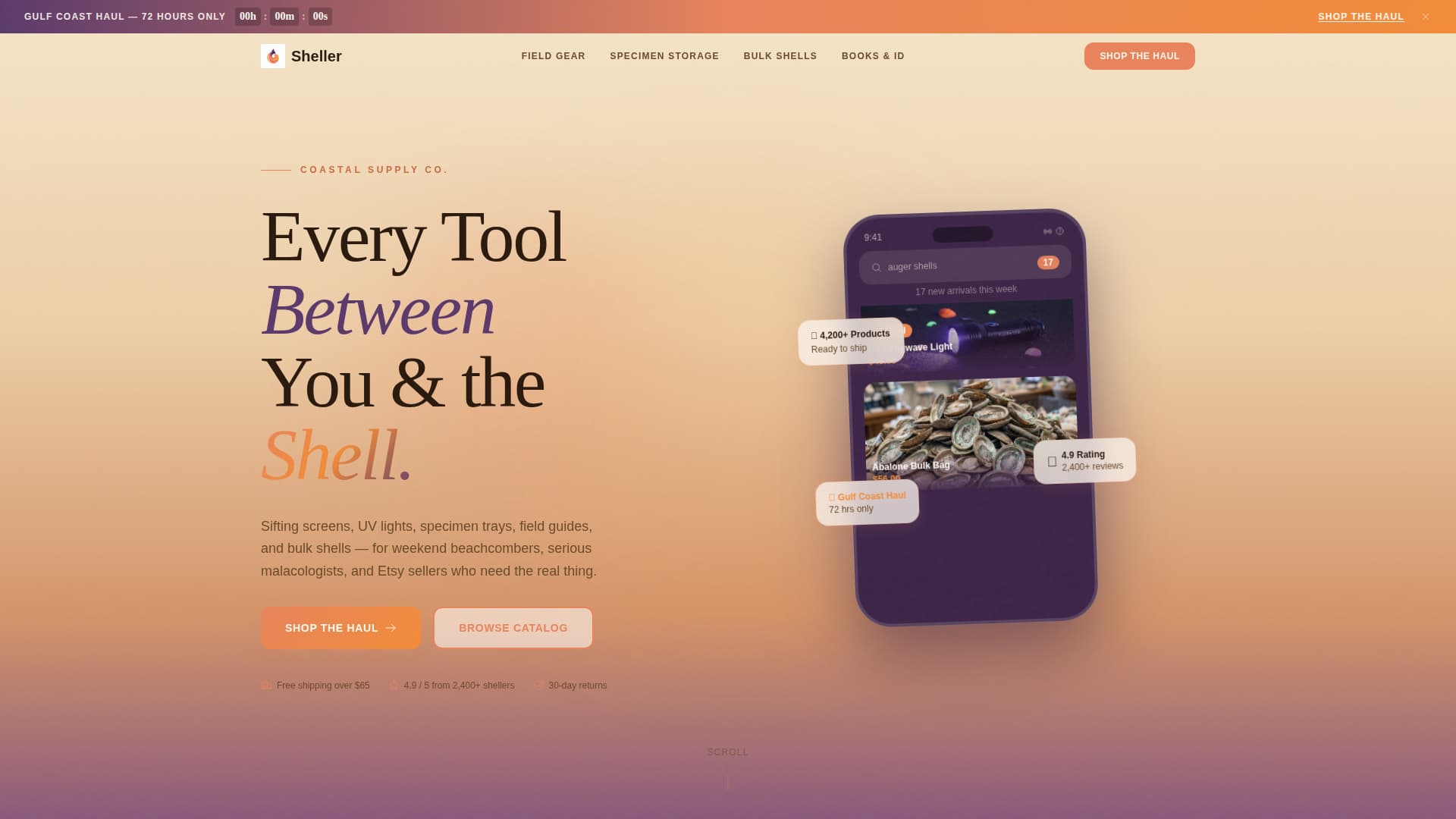 Sheller - Coastal Shell Collecting Landing Page Template