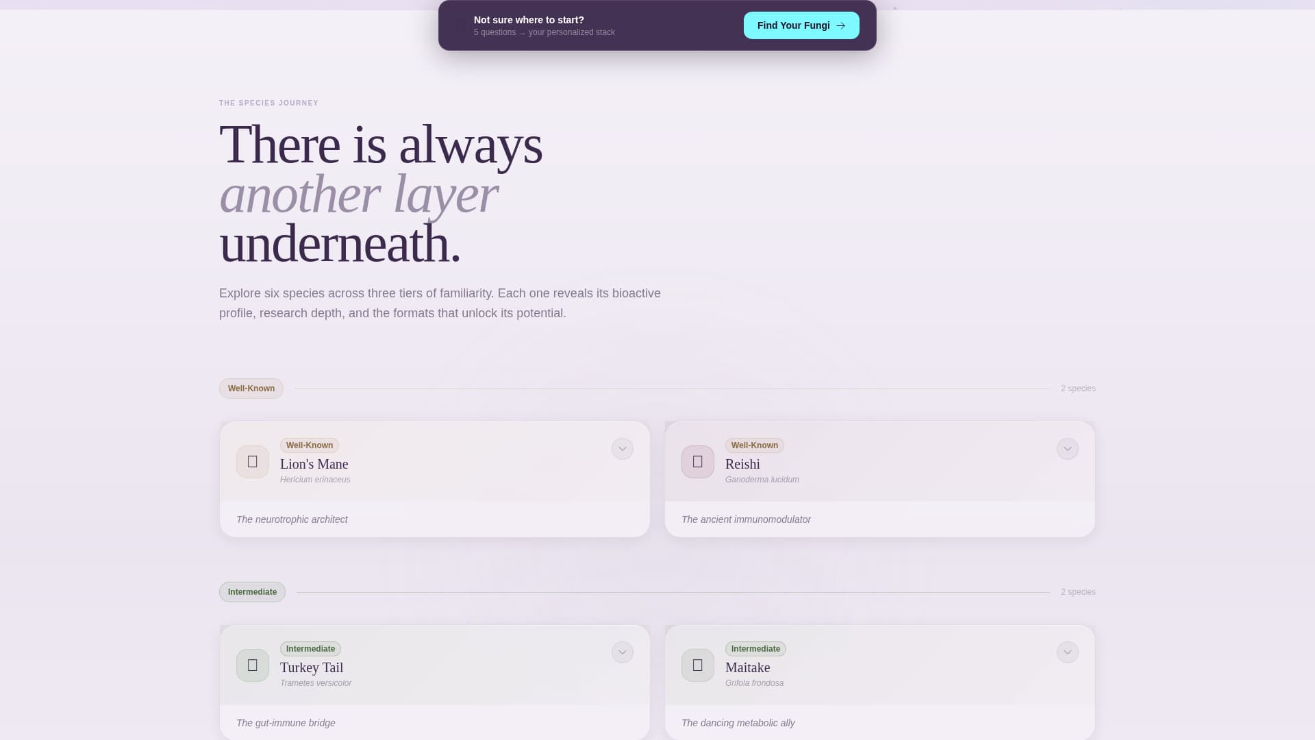 Mycelium - Curated Mushroom Landing Page Template