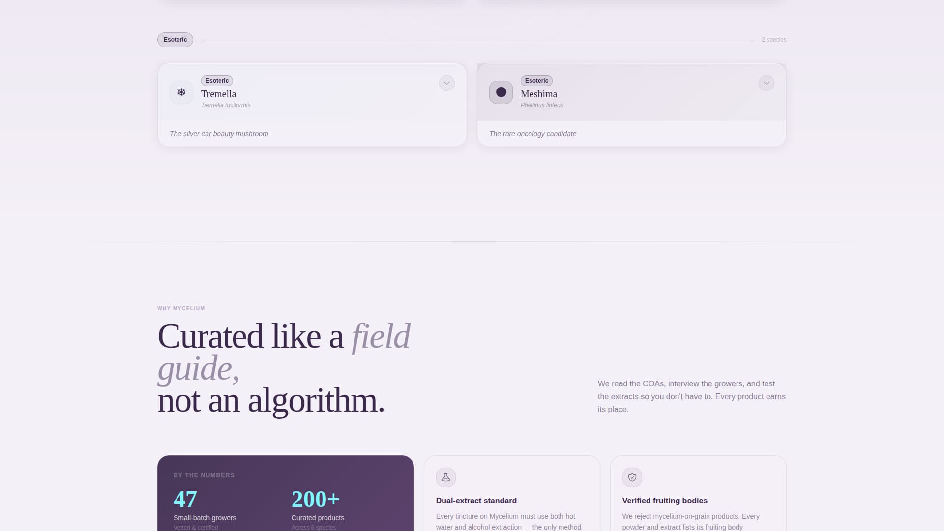 Mycelium - Curated Mushroom Landing Page Template