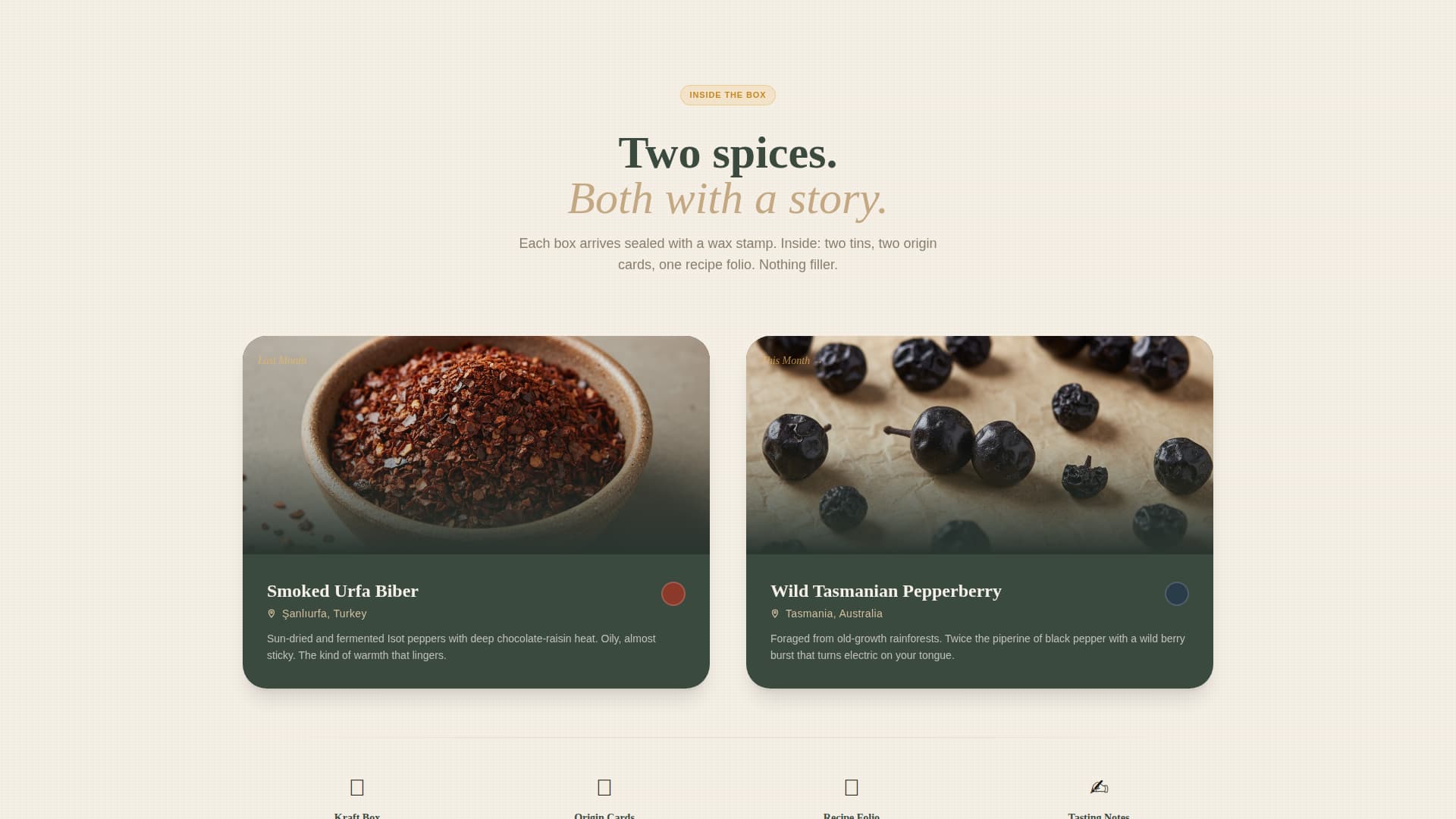 Pulse — Exclusive Fitness Subscription Landing Page Template