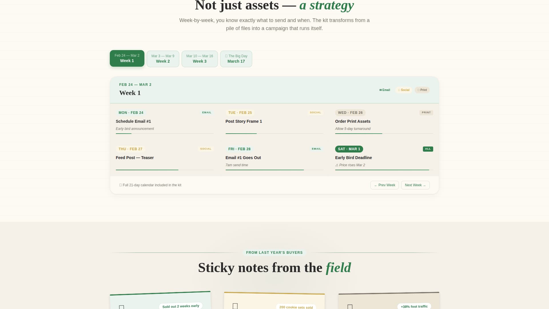 Shamrock - Seasonal Small Business Landing Page Template