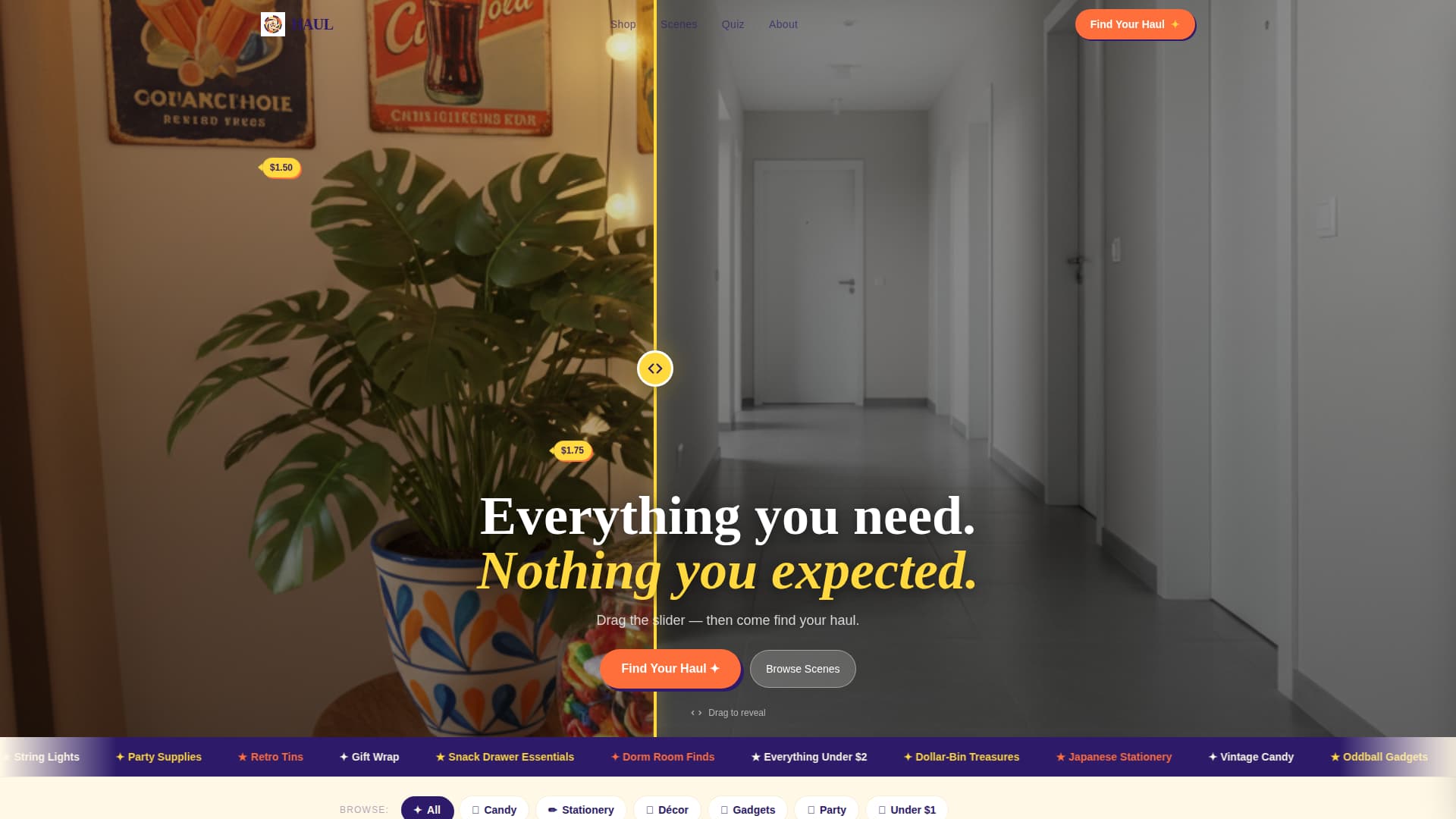 Haul - Vibrant Varietystore Landing Page Template