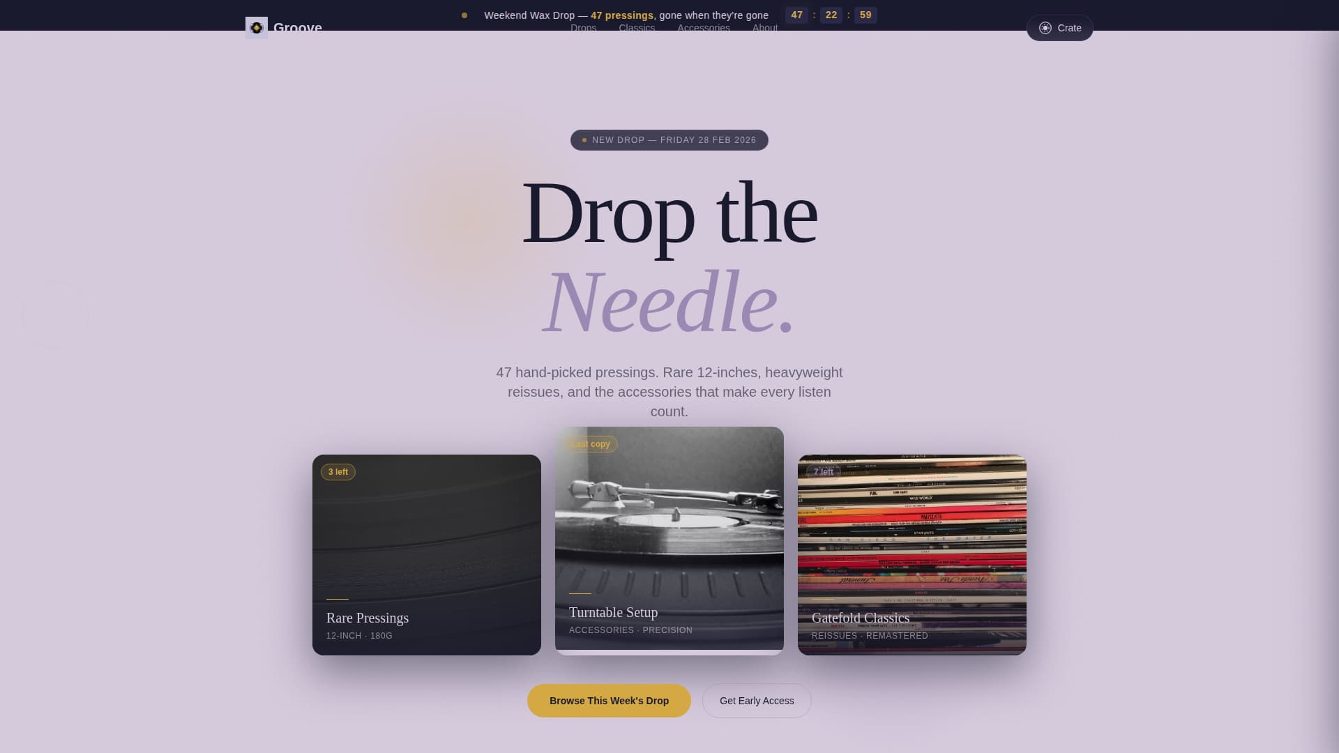 Groove - Rare Vinyl Landing Page Template