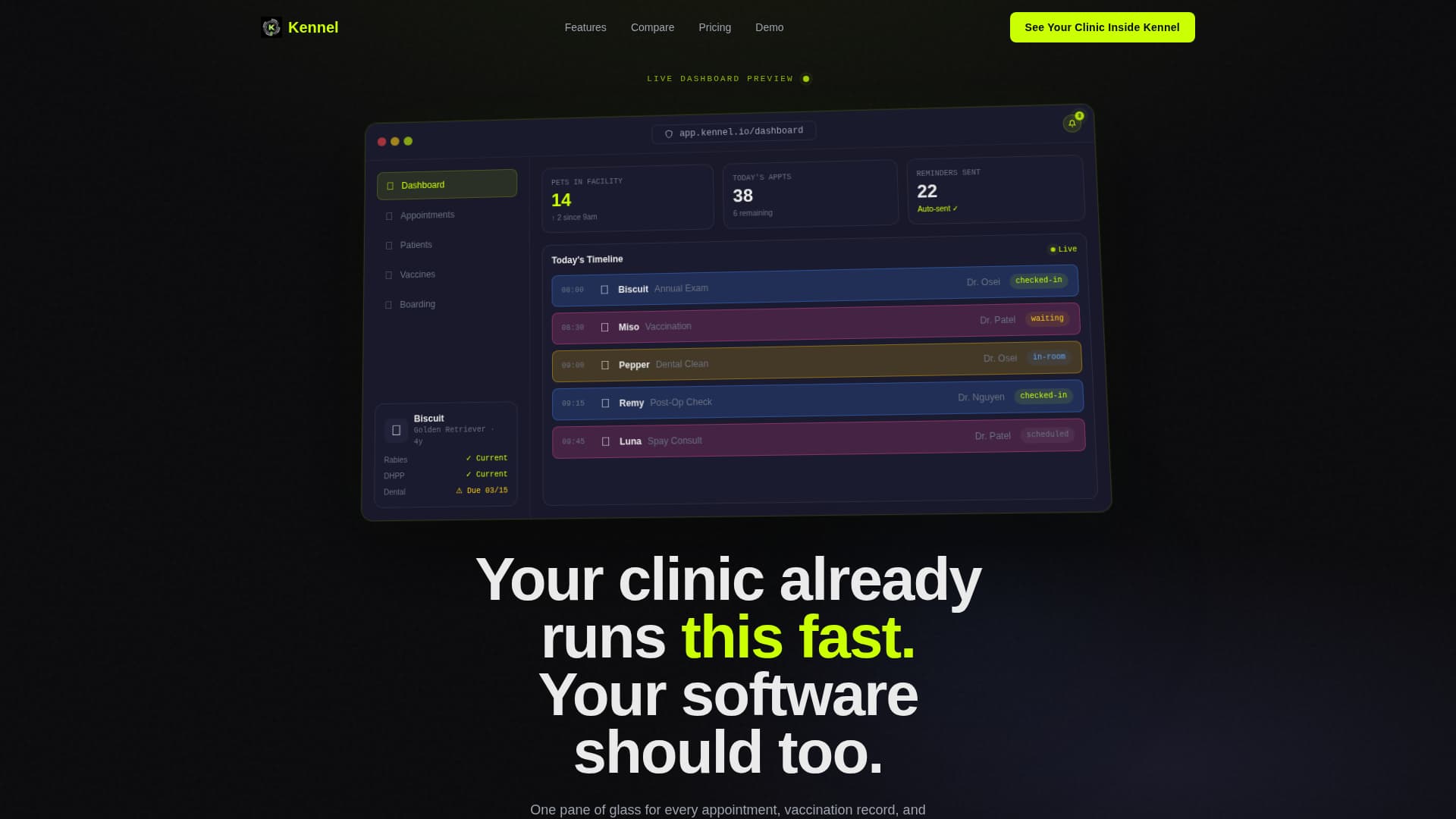 Paws — Expert Veterinary Services Landing Page Template