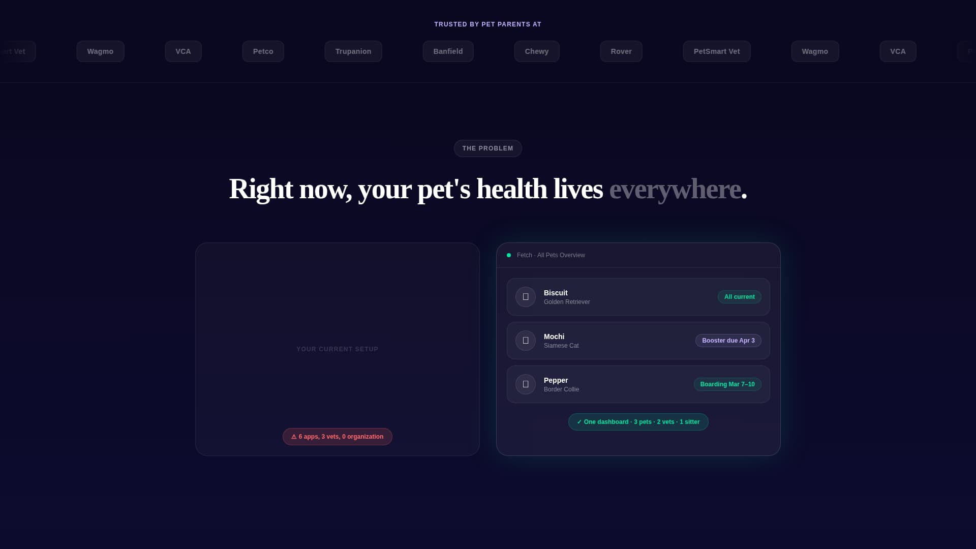 Fetch - Streamlined Petcare Landing Page Template