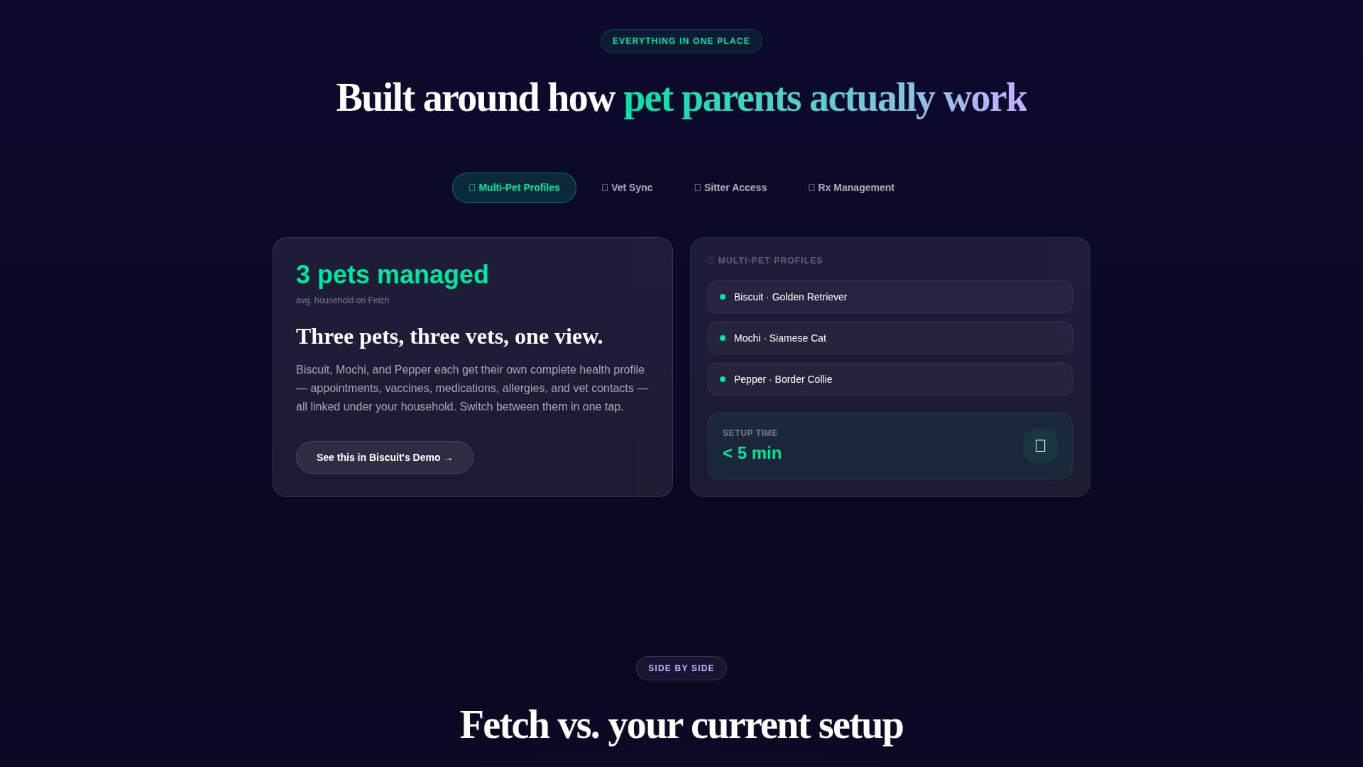 Fetch - Streamlined Petcare Landing Page Template
