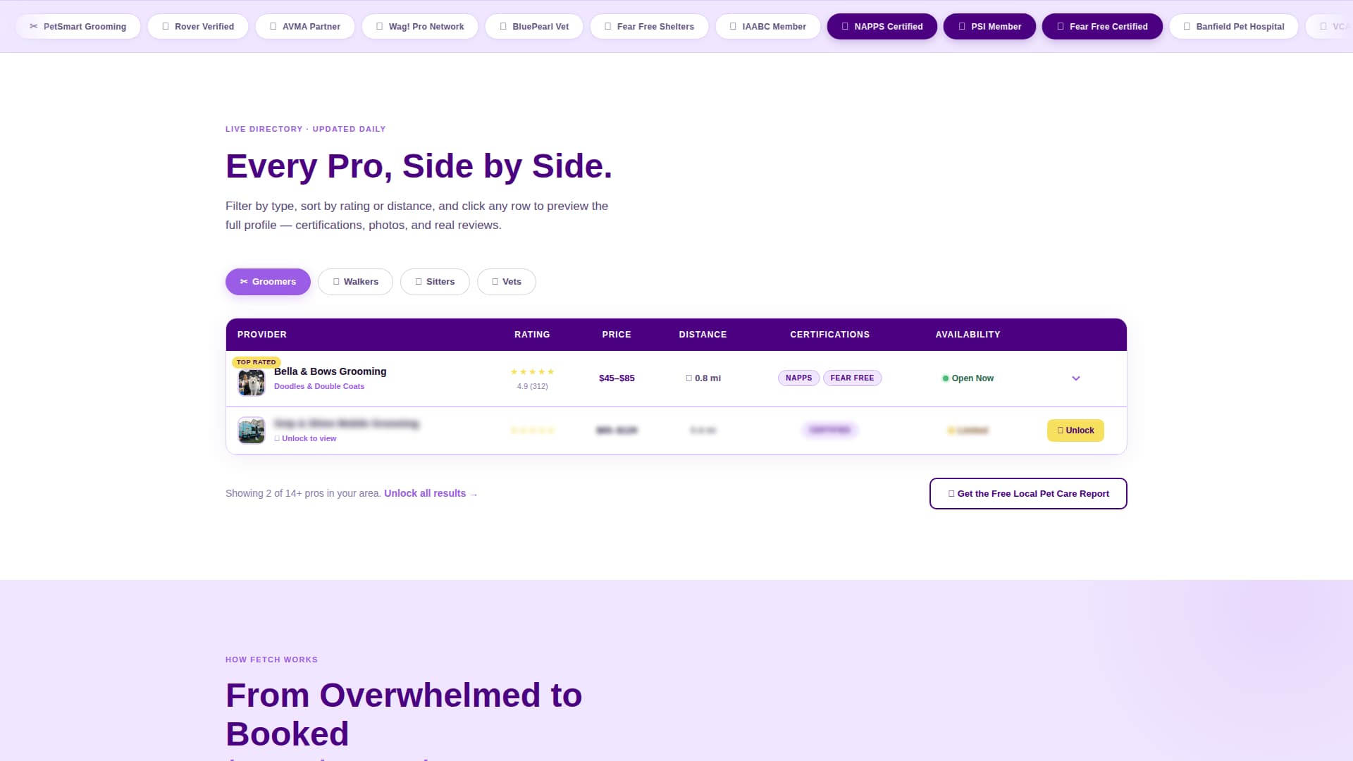 Fetch - Trusted Petcare Landing Page Template