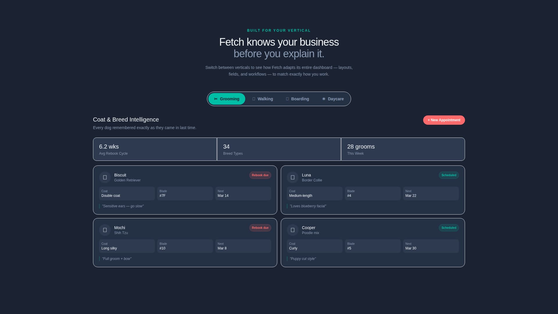Companion — Trusted Animal Wellness Landing Page Template
