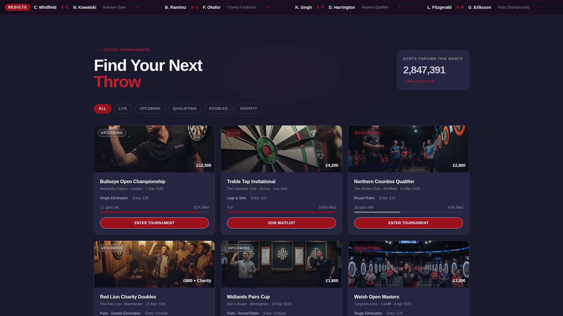 Darts Specialist Professional Website Template