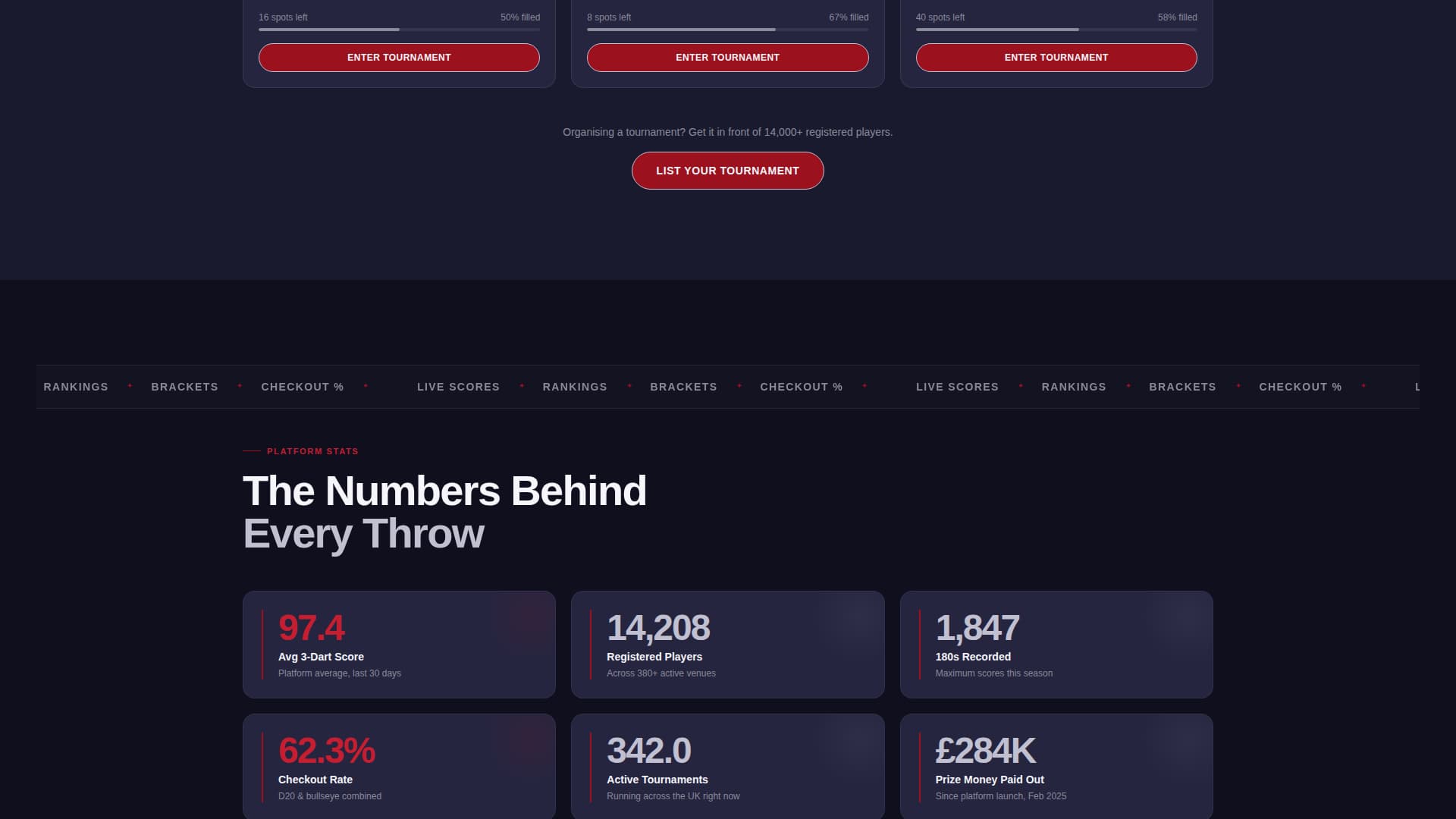 Darts Specialist Professional Website Template